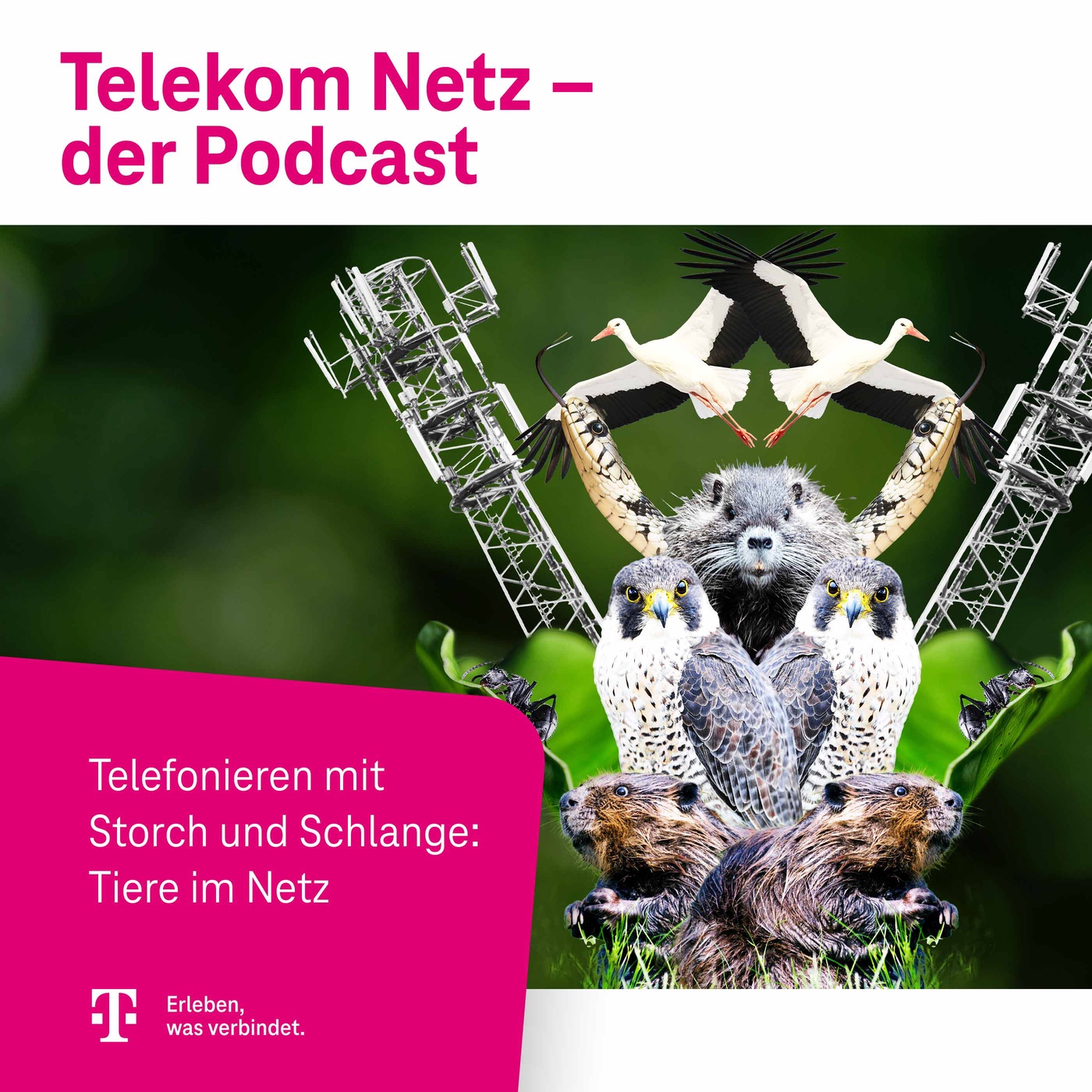 Episode 148 – Tierisch spannend: Ungewöhnliche Geschichten aus dem Telekom Netz