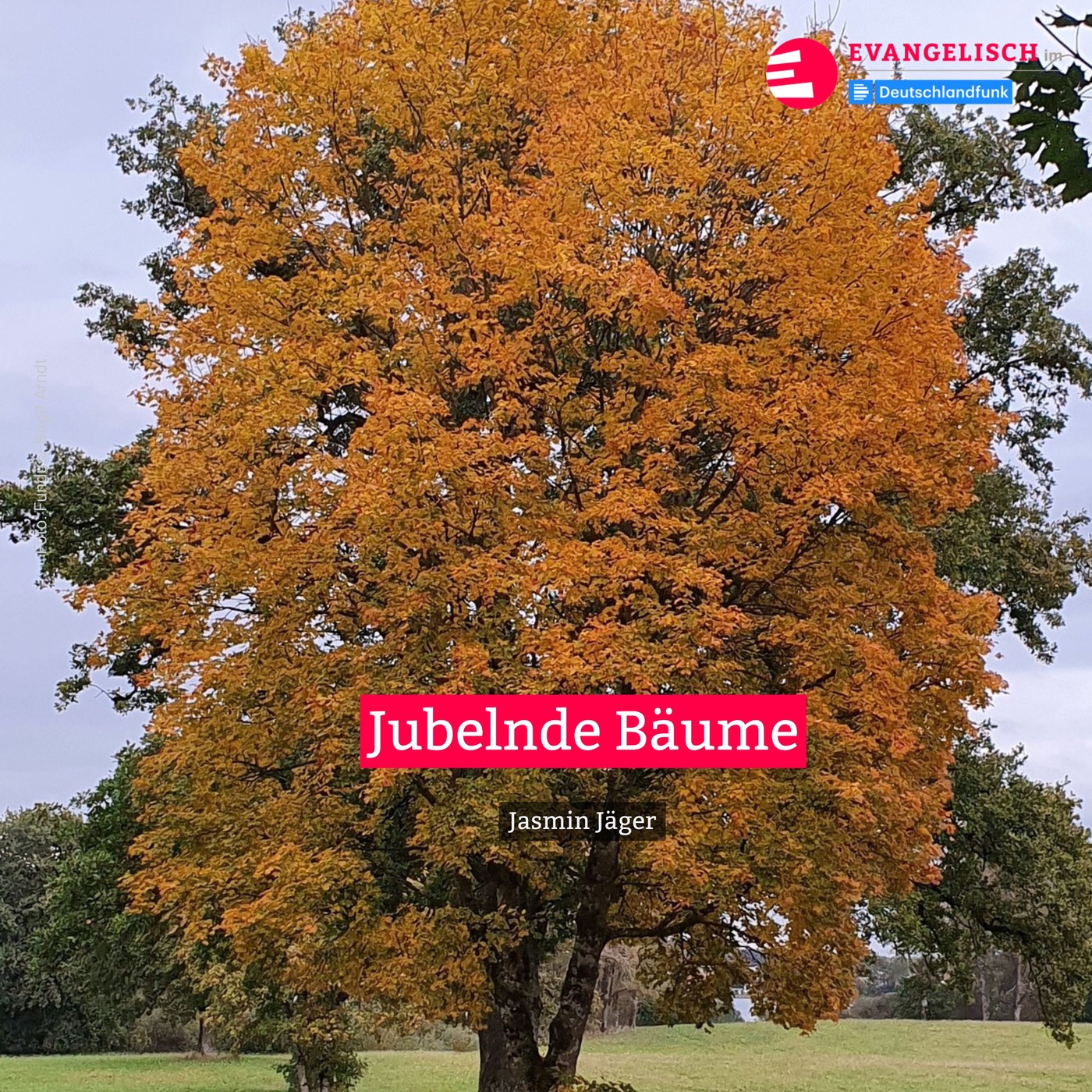Jubelnde Bäume