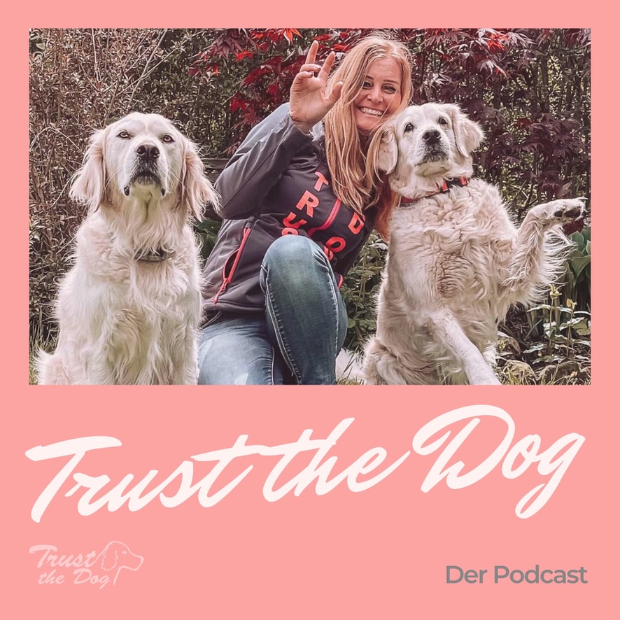 #16 Wie findet man die richtige Hundeschule?