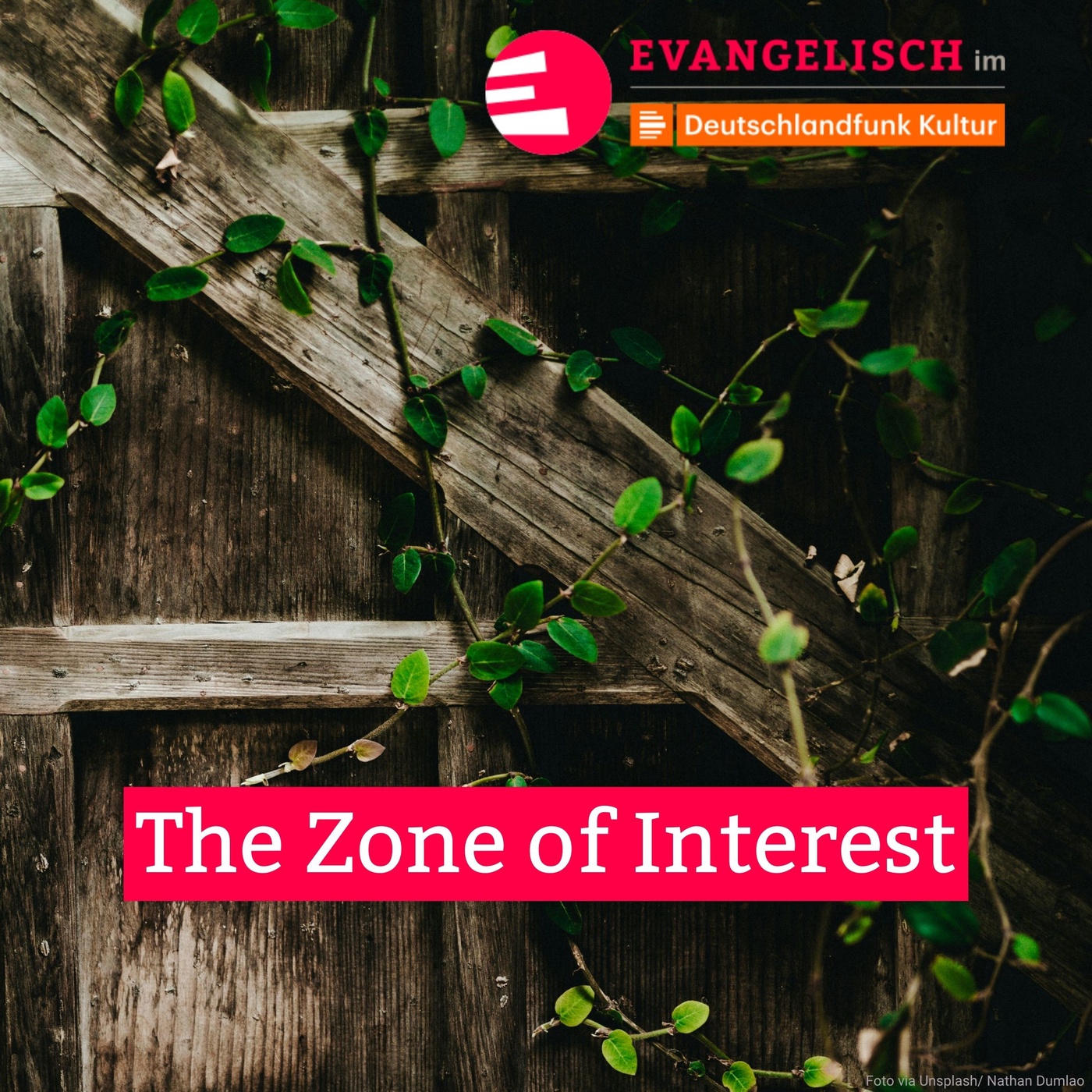 The Zone of Interest