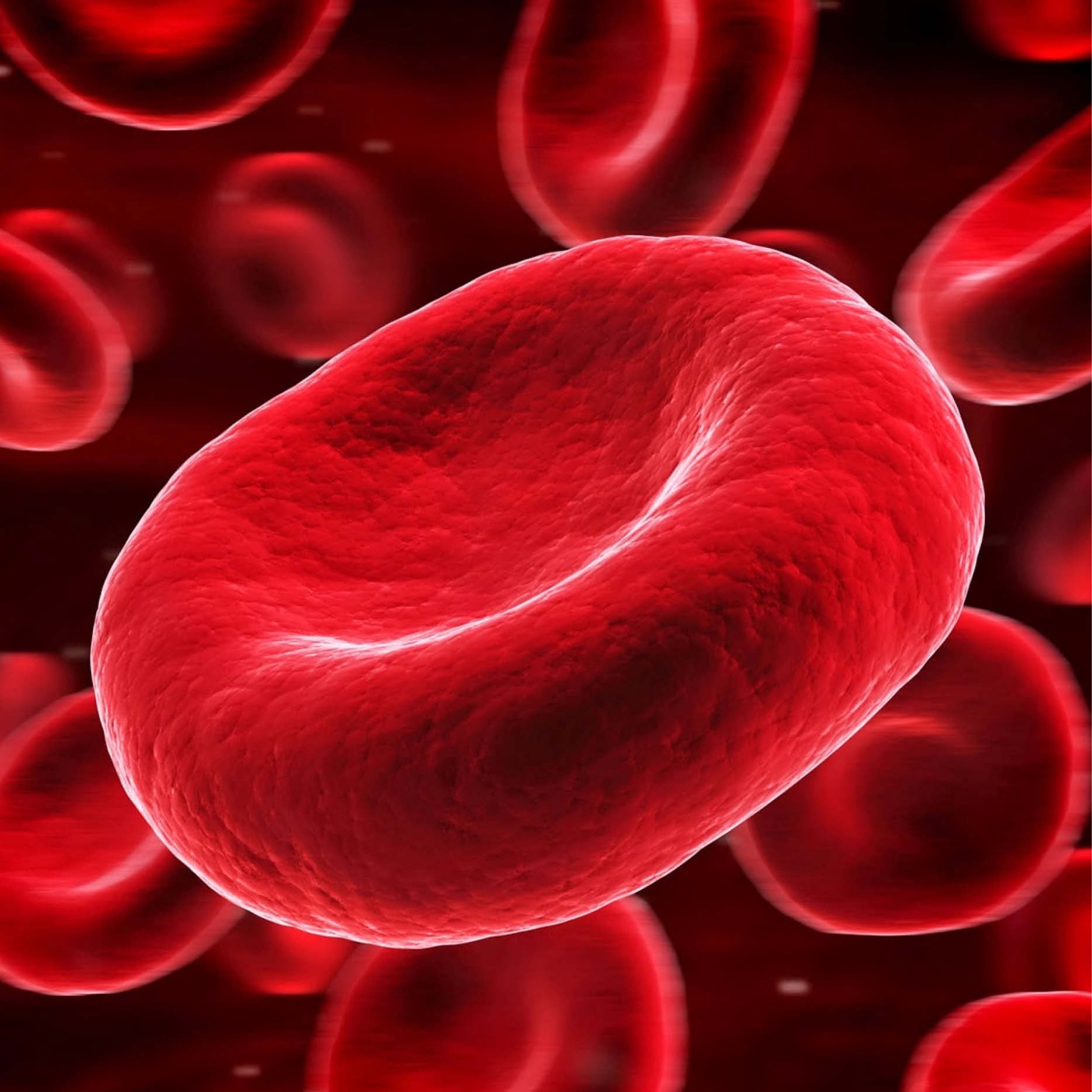 85_Das Blut Teil II.