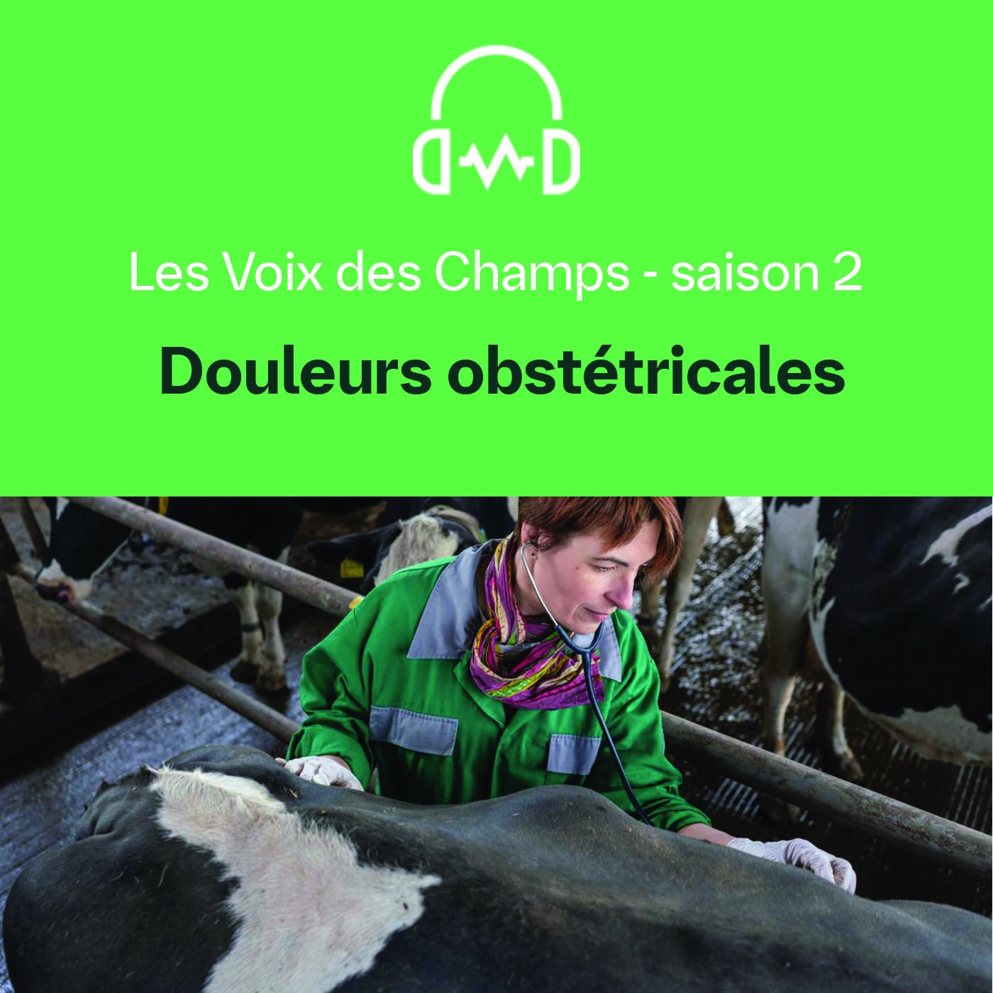 LesVoix DesChamps - S02 - E08 : Douleurs obstétricales