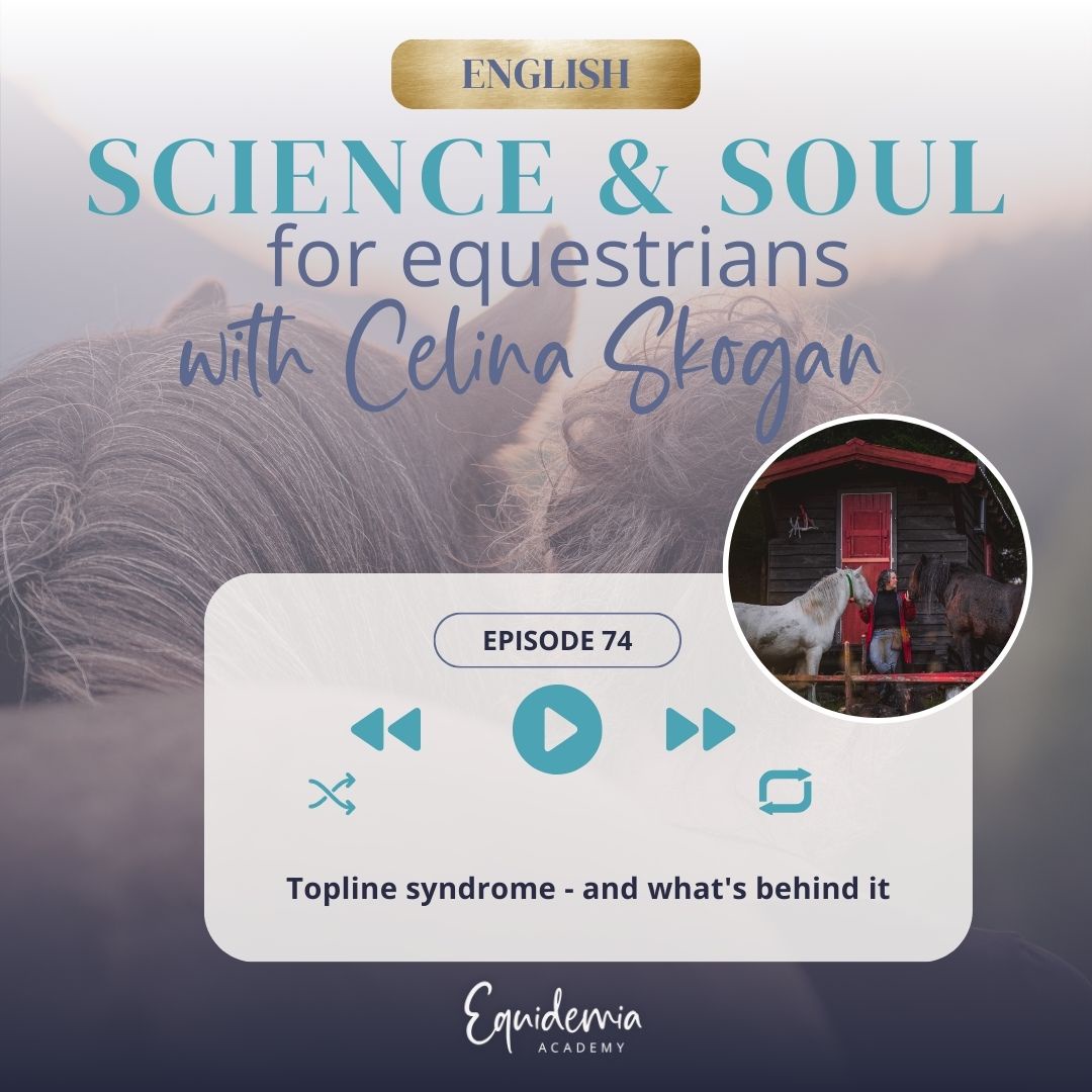 Topline syndrome - and what's behind it