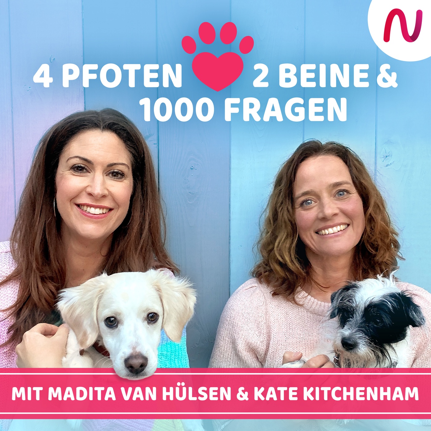 34. Hundepensionen, Dogsitter & Co.: wie wir die Perlen der Betreuung finden können.