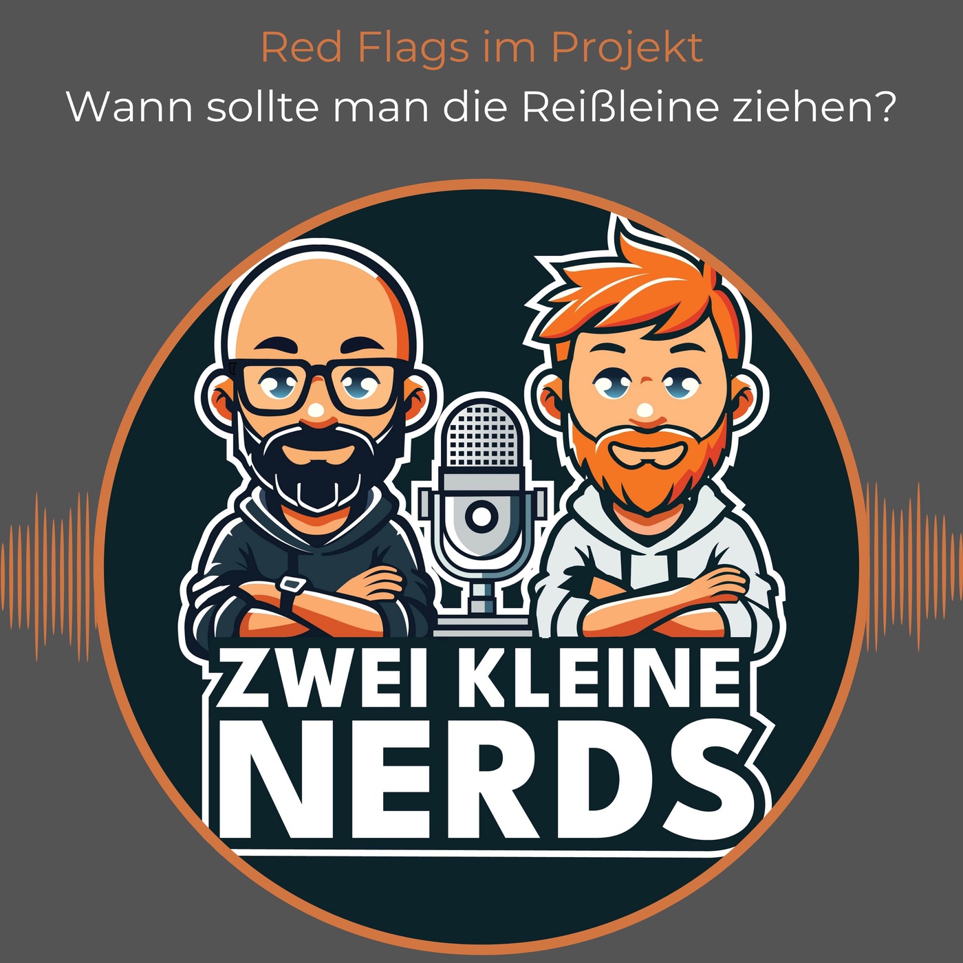 Red Flags im Projekt - Wann sollte man die Reißleine ziehen?