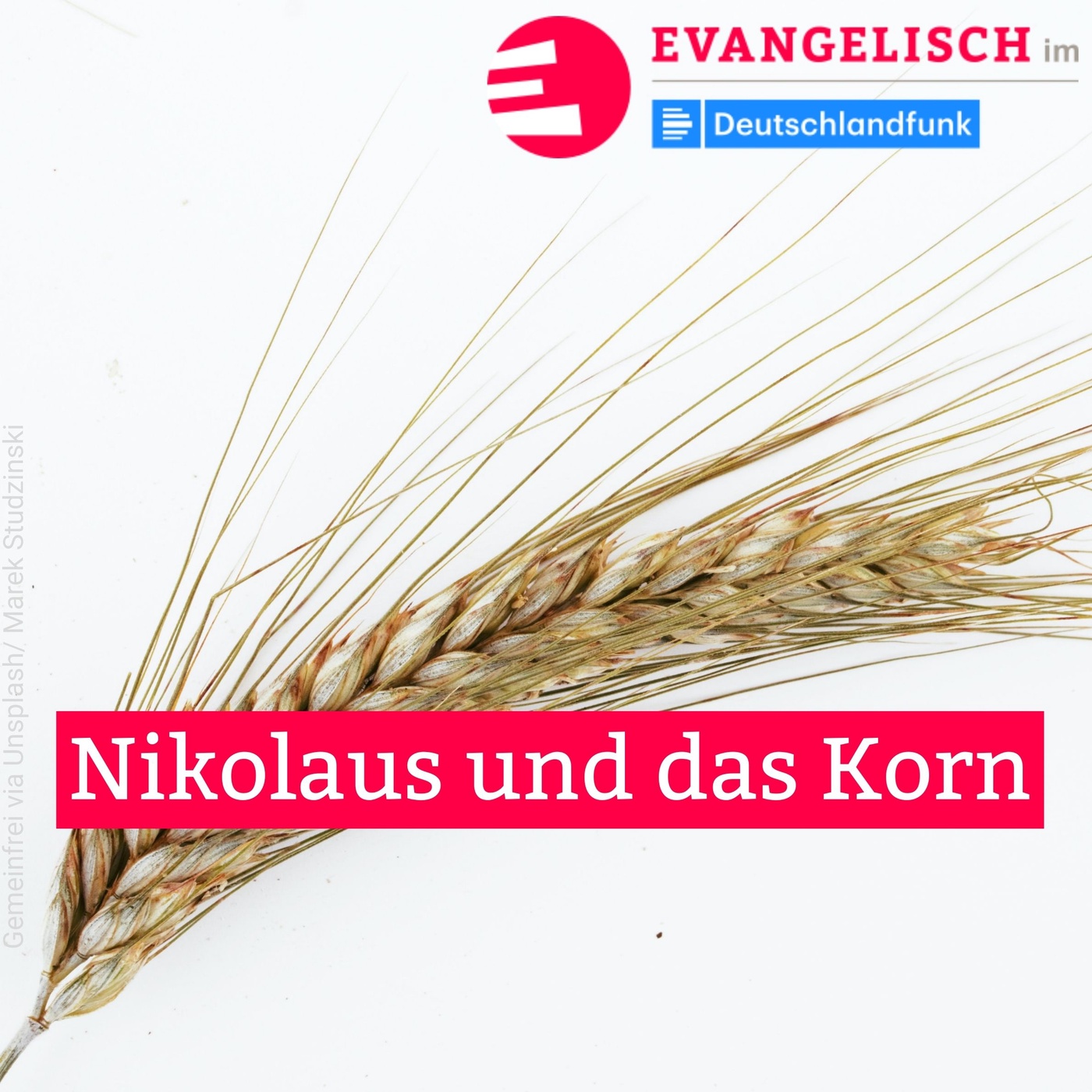Nikolaus und das Korn