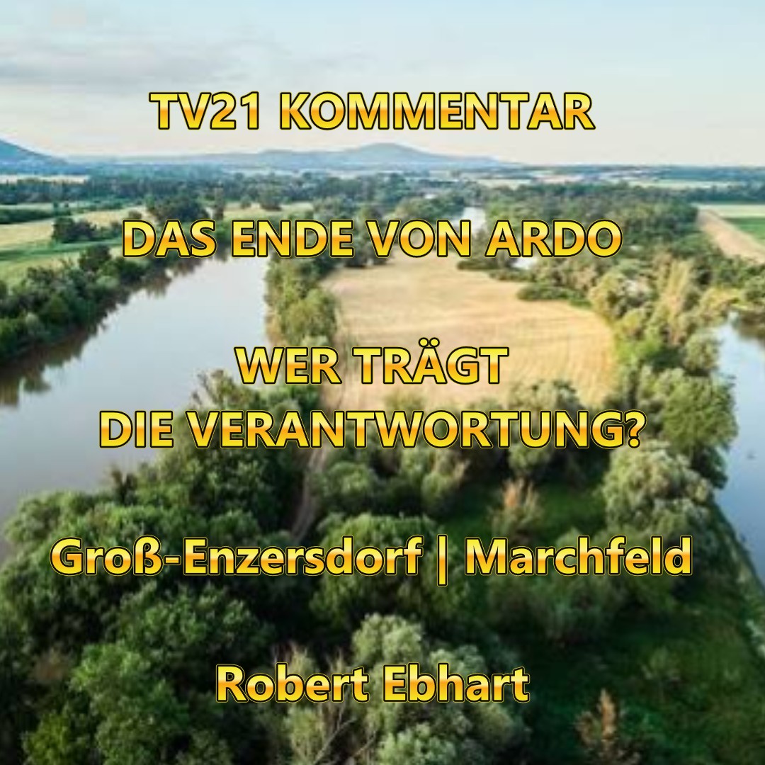 Das Ende von Ardo – wer trägt die Verantwortung?
