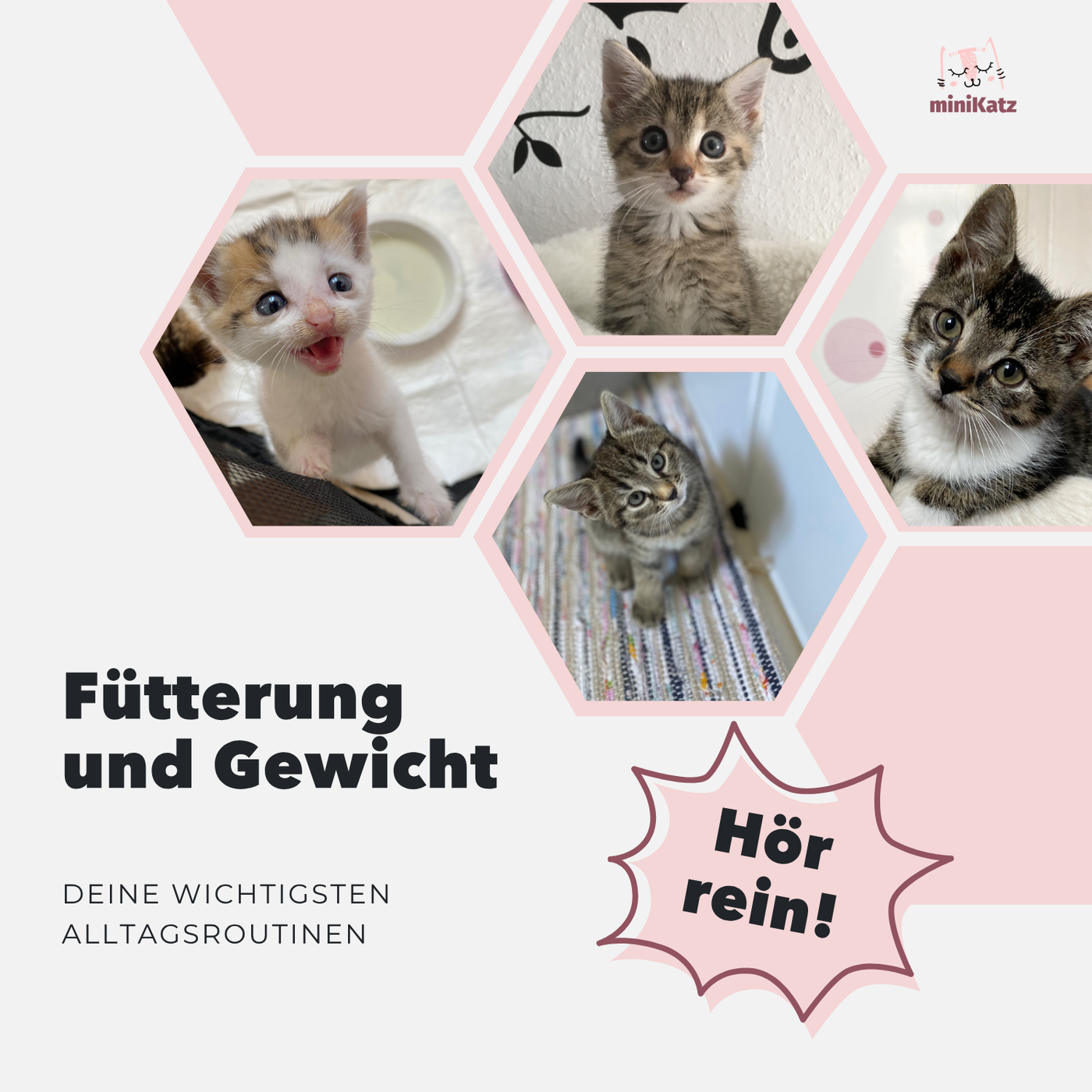 Fütterung und Gewicht