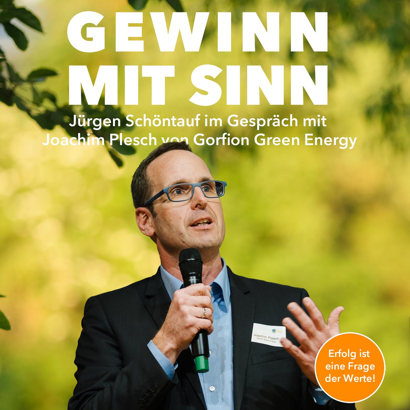 Energiewende: Über Eigenverbrauch, Speicher, Netze und das Risiko neuer Regeln