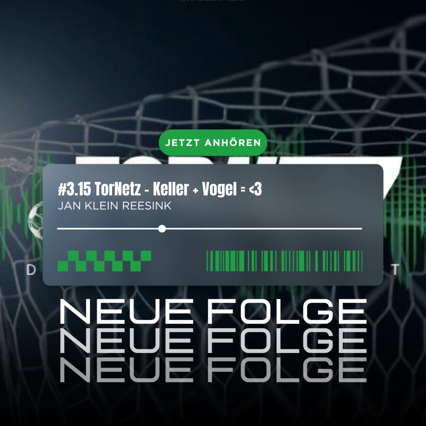 #3.15 TorNetz - Keller + Vogel = <3