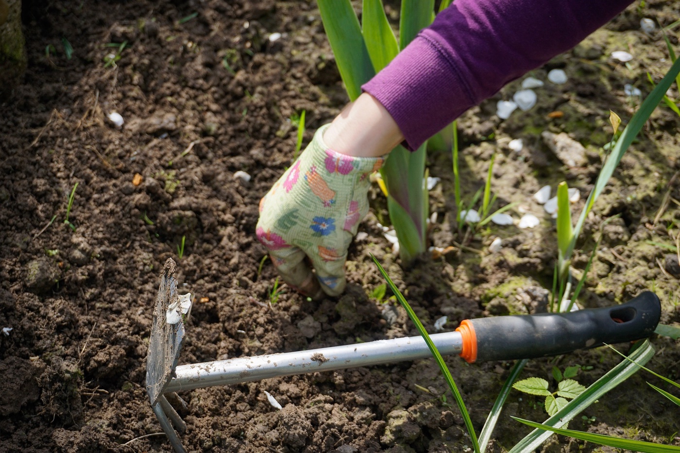 AUSGABE 22 - Der rückenschonende Garten mit Christina Engert