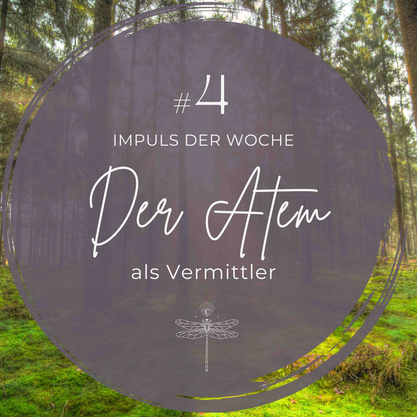 #4 IMPULS DER WOCHE - Der Atem als Vermittler