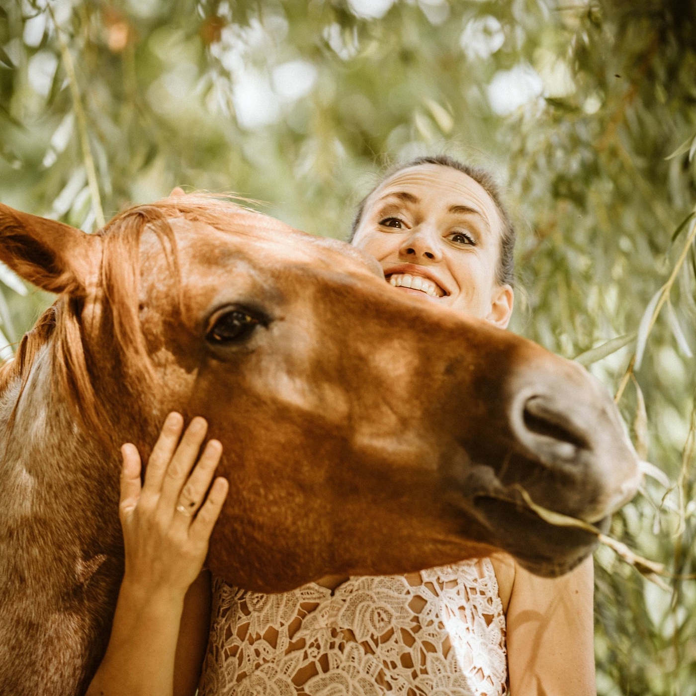Tipps fürs erste eigene Pferd