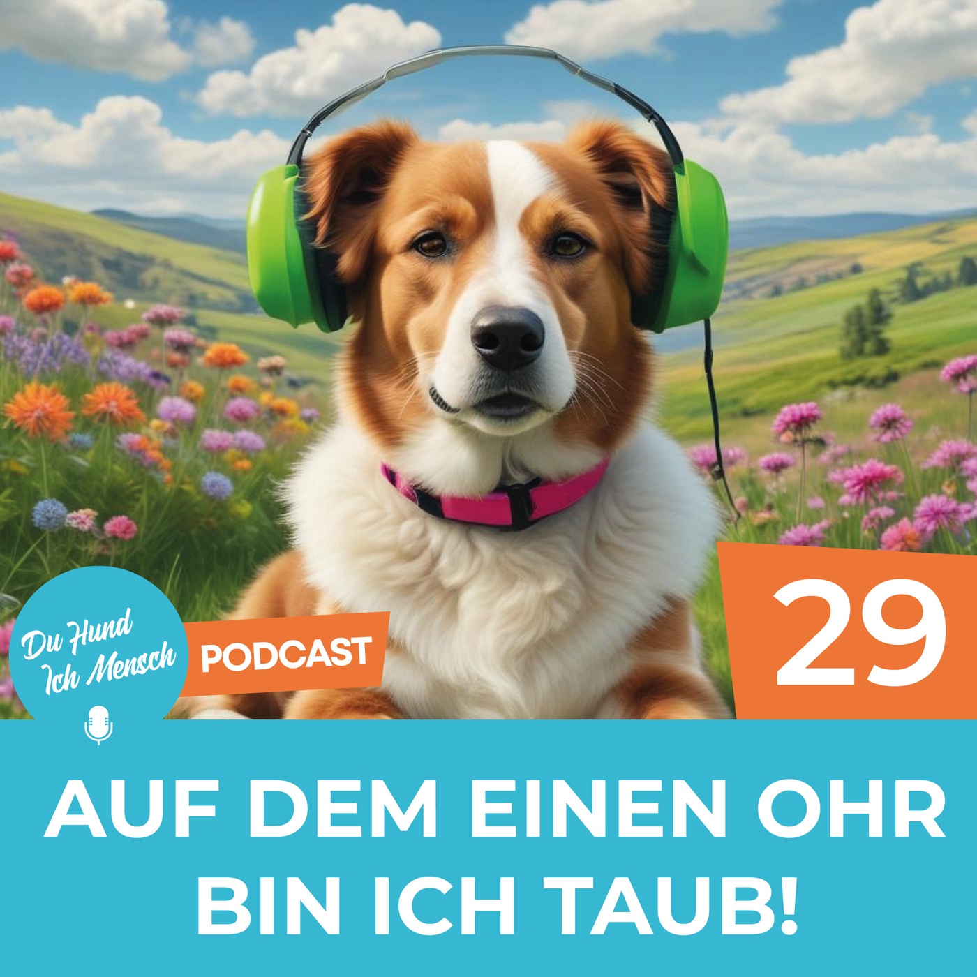 29# Auf dem einen Ohr bin ich taub