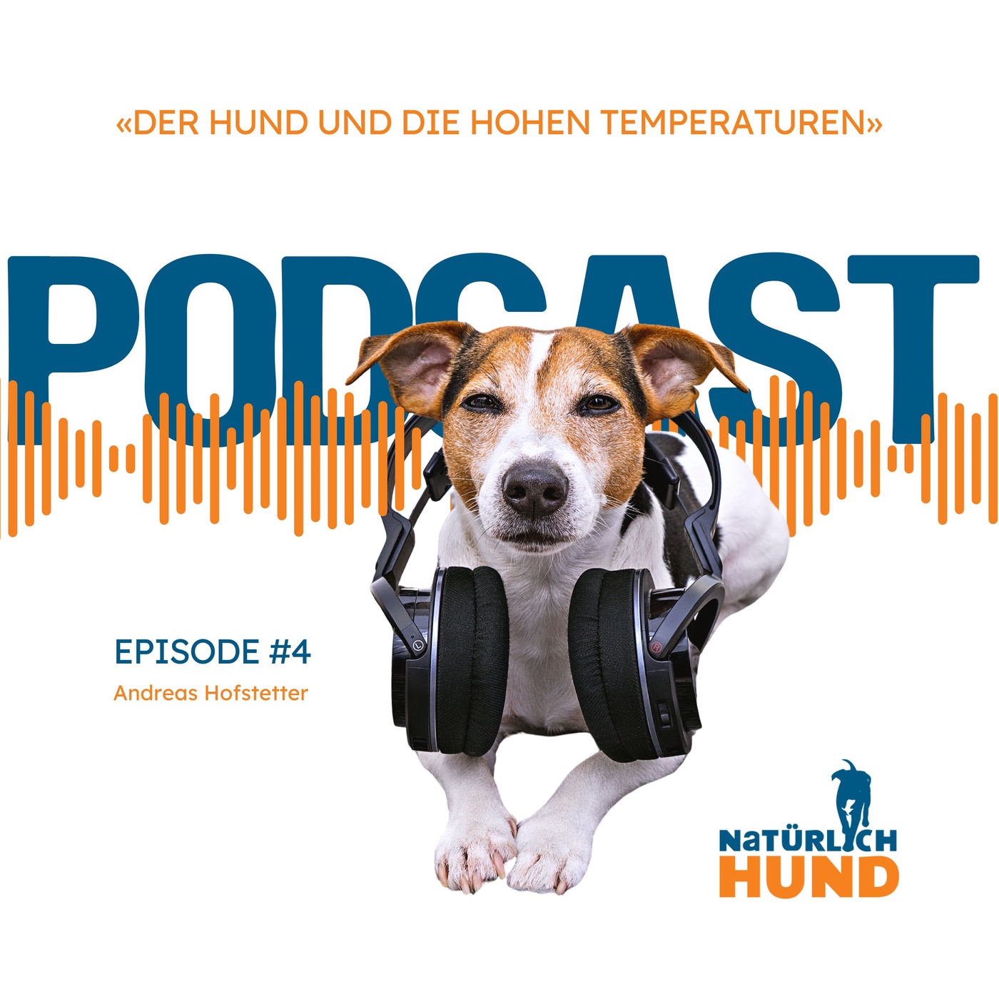 Der Hund und die hohen Temperaturen #4