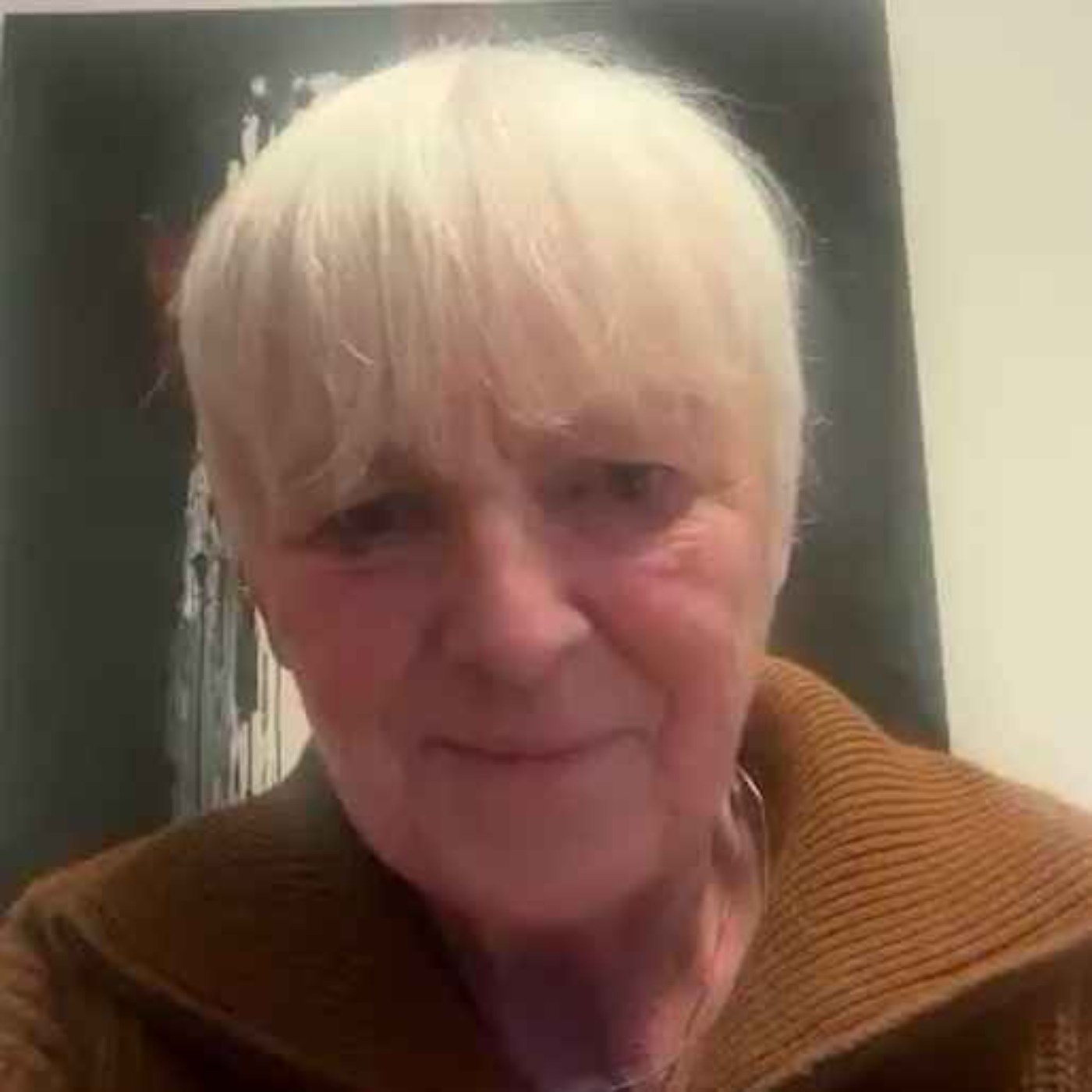 «Tod der Demokratie»: Autorin Petra Erler über die EU, den Fall Jacques Baud und die Meinungsfreiheit