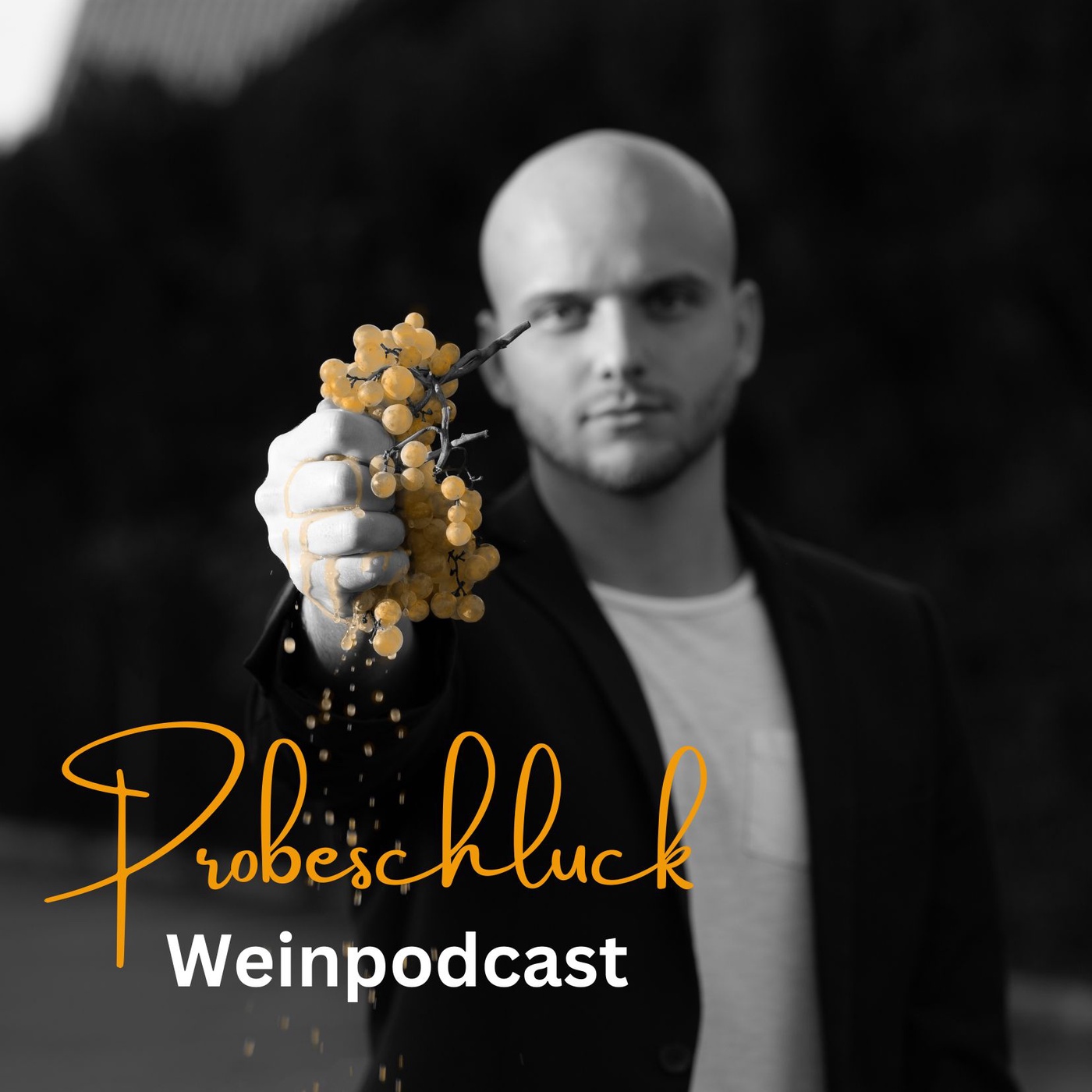 Probeschluck - Weinpodcast