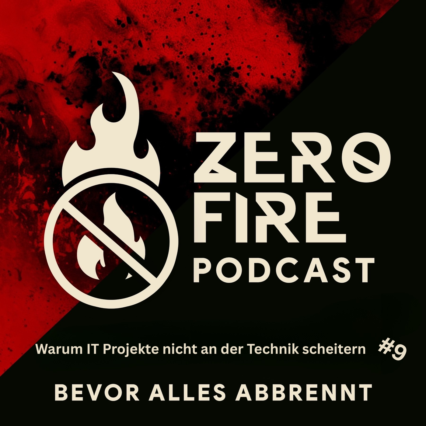 Folge 9 — Warum Projekte nicht an der Technik scheitern