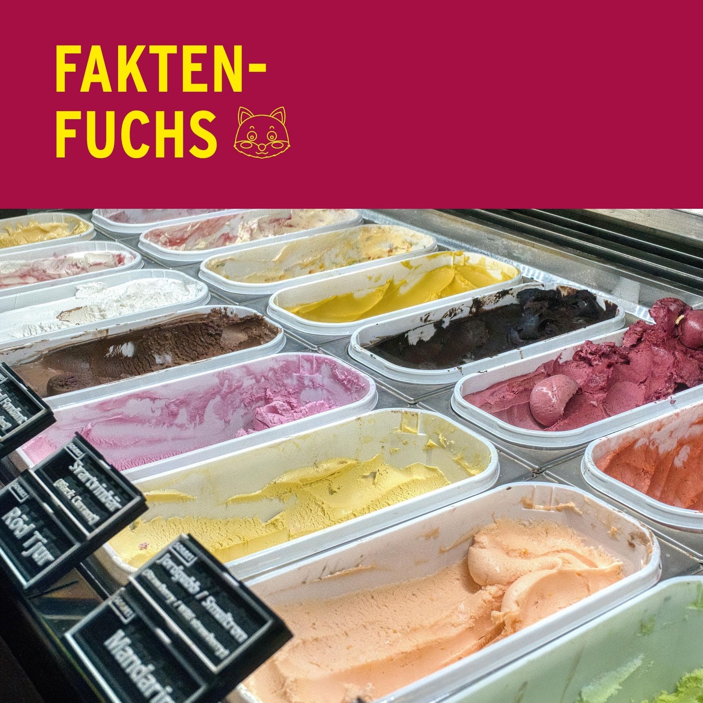 Faktenfuchs: Speiseeis
