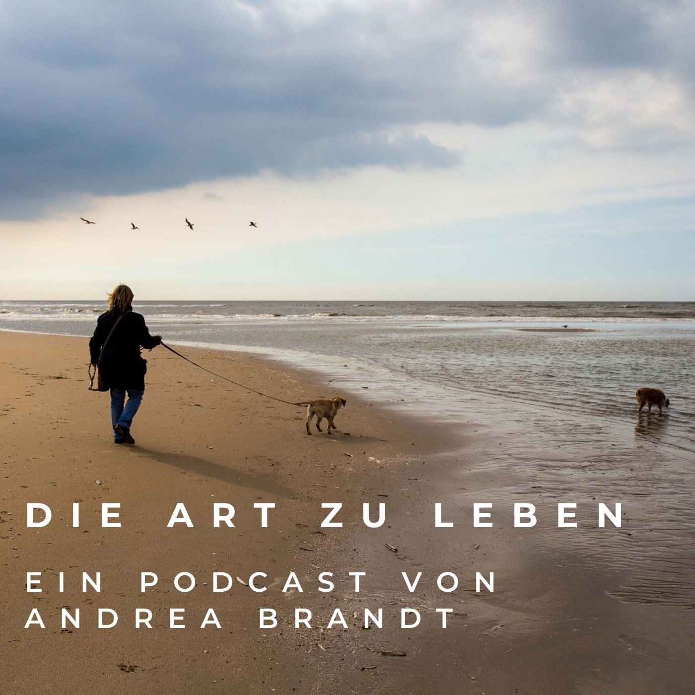 #41 Freiheit in Dir