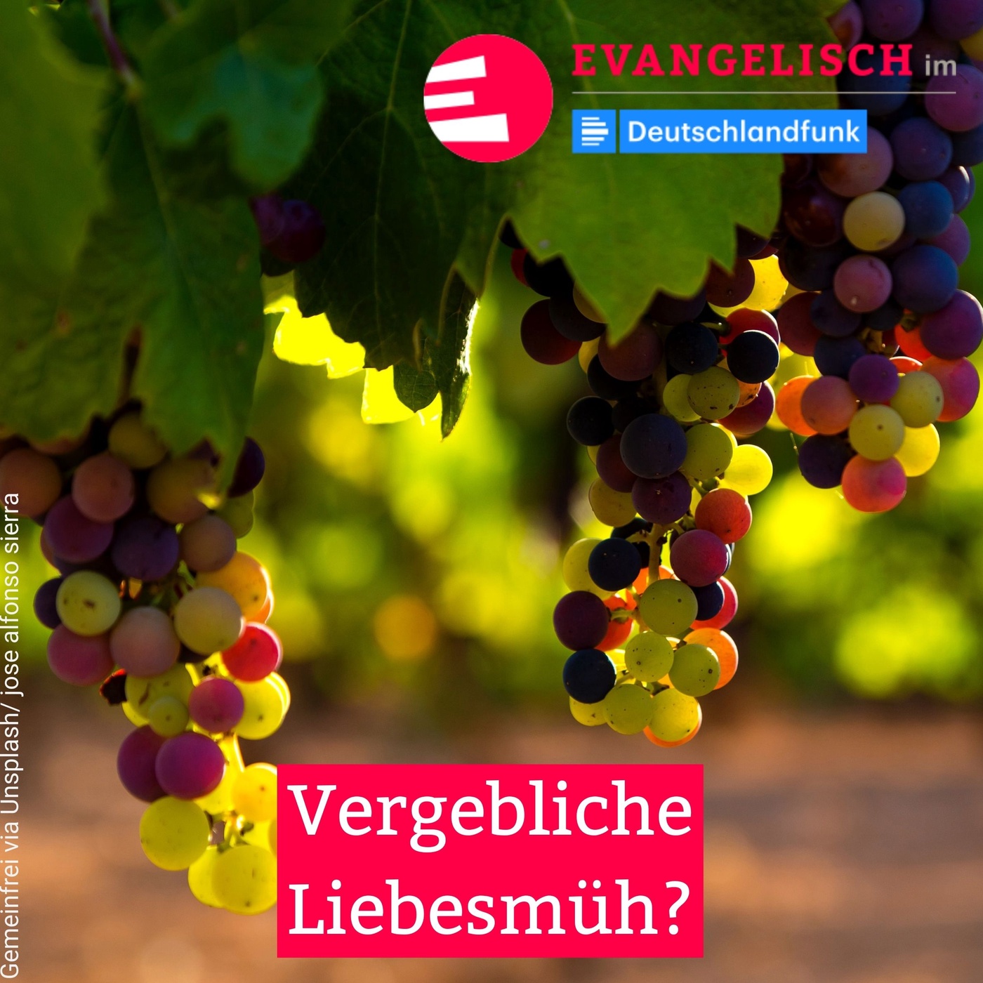Vergebliche Liebesmüh?