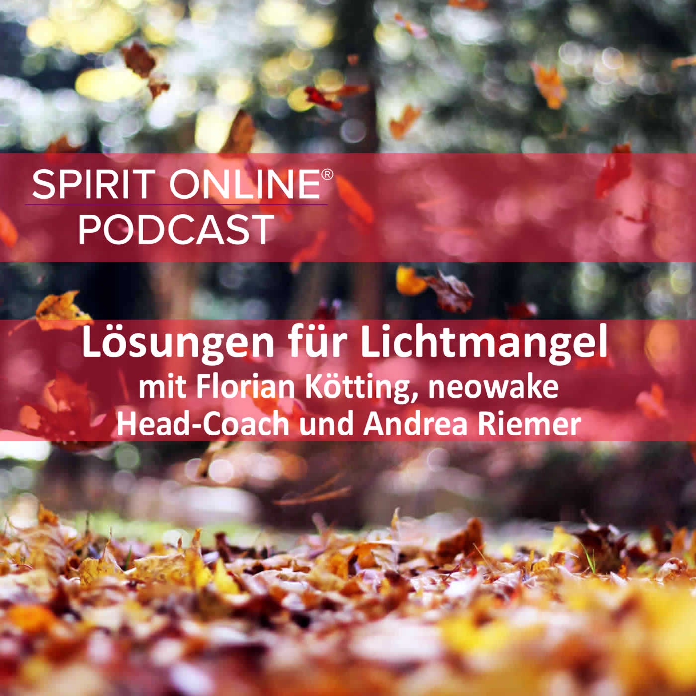 Lichtmangel und einfache Lösungen - Podcast mit Florian Kötting neowake