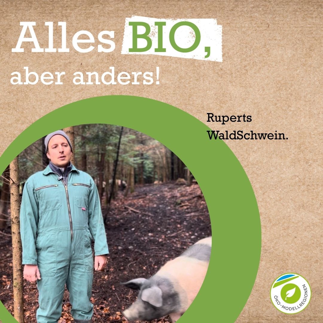 Alles BIO, aber anders! Ruperts WaldSchwein.