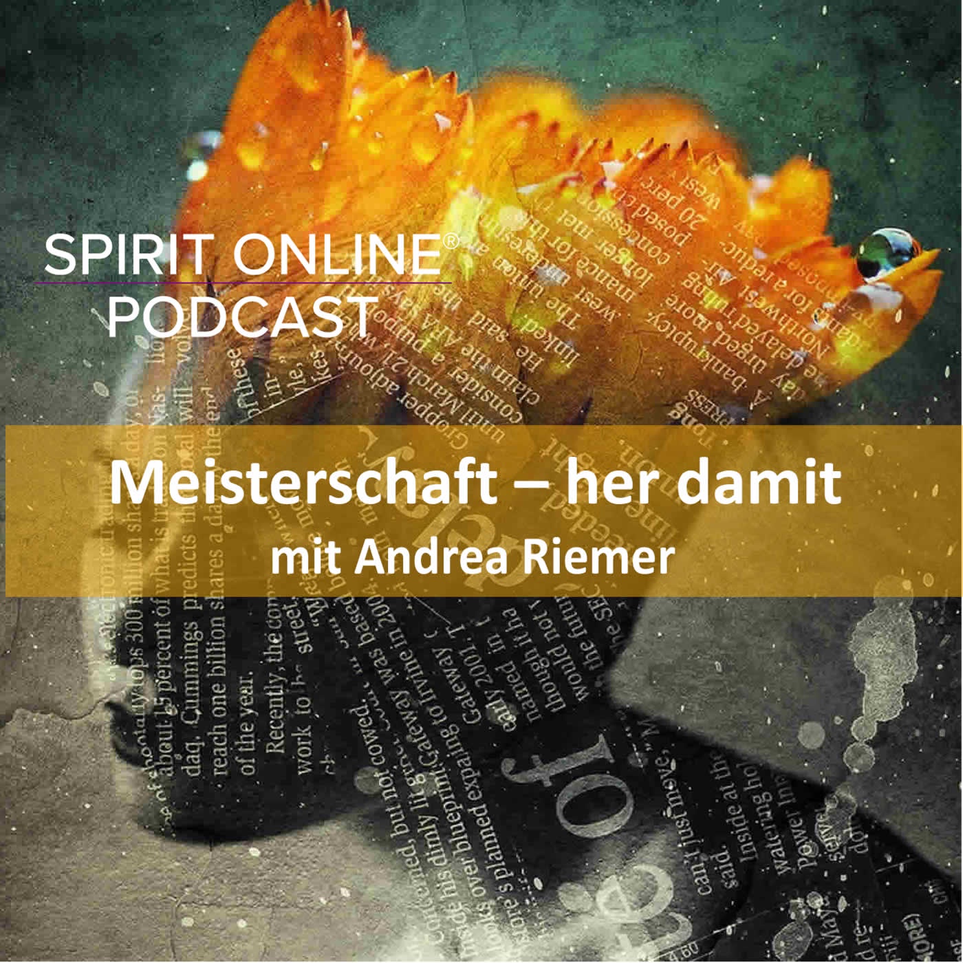 Buddha bei de Fische: Meisterschaft – her damit - mit Andrea Riemer