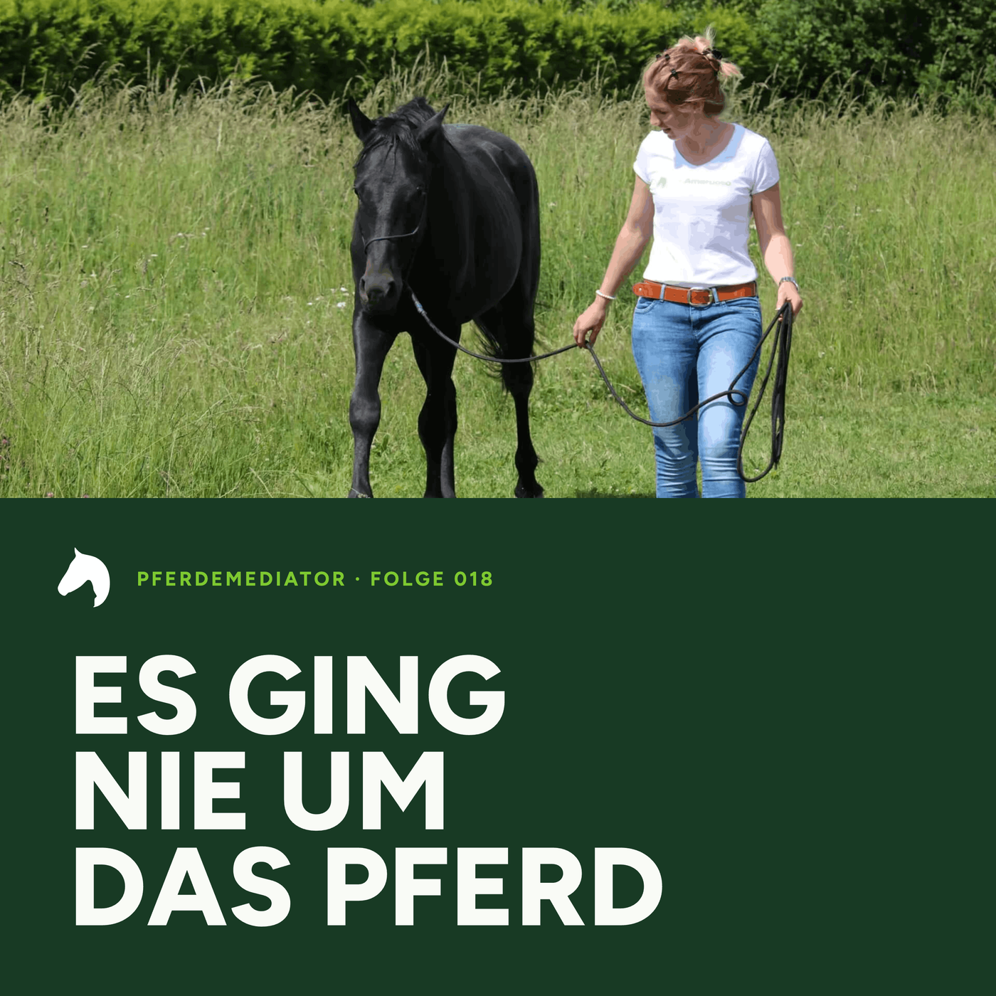 Folge 018: Es ging nie um das Pferd