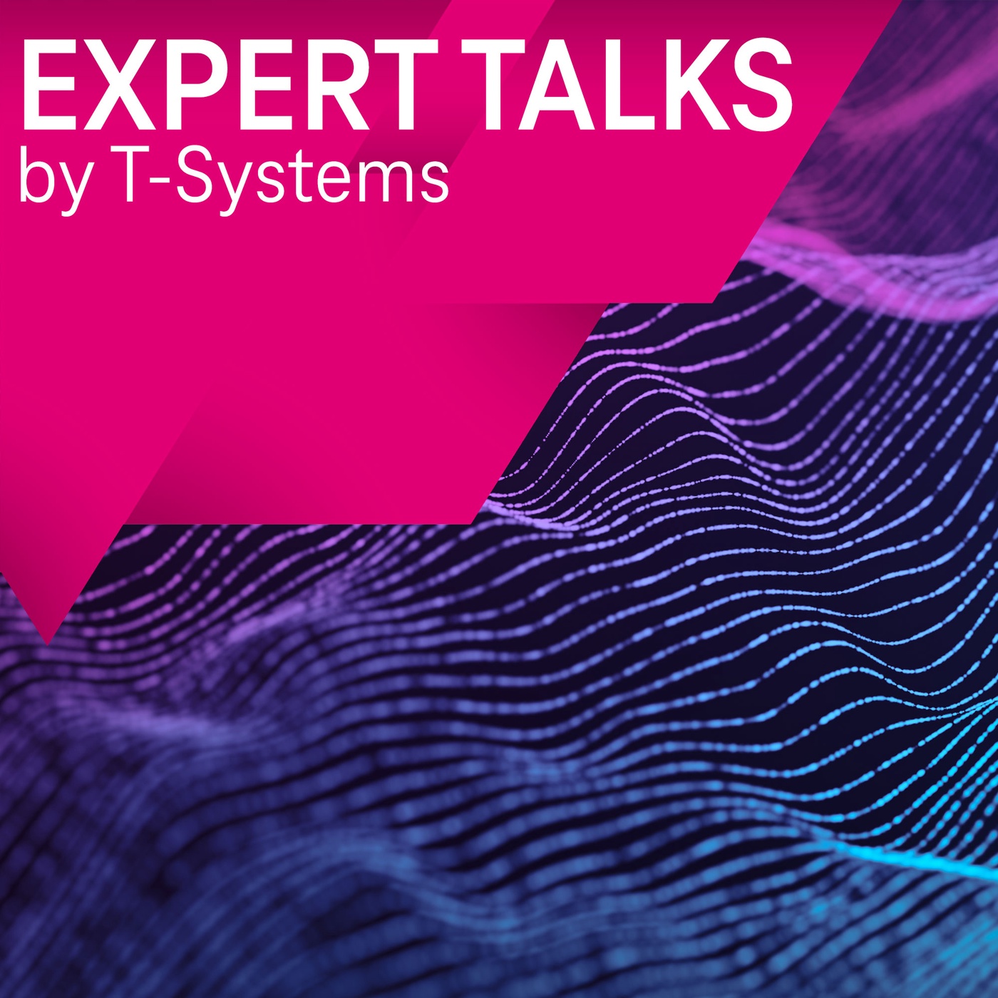 Expert Talks