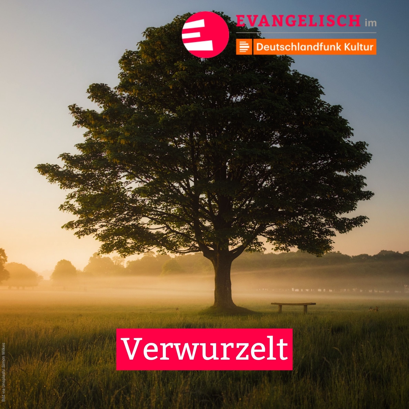 Verwurzelt