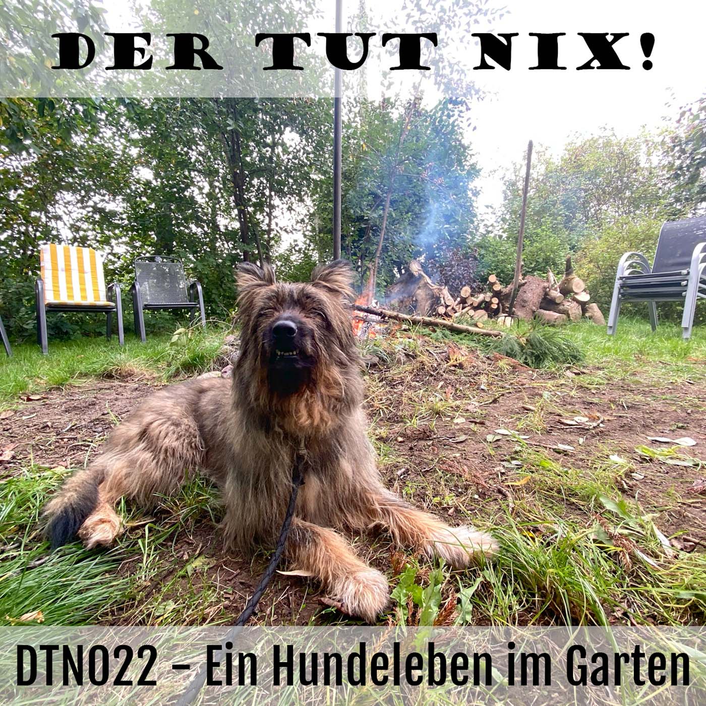 DTN022 - Ein Hundeleben im Garten