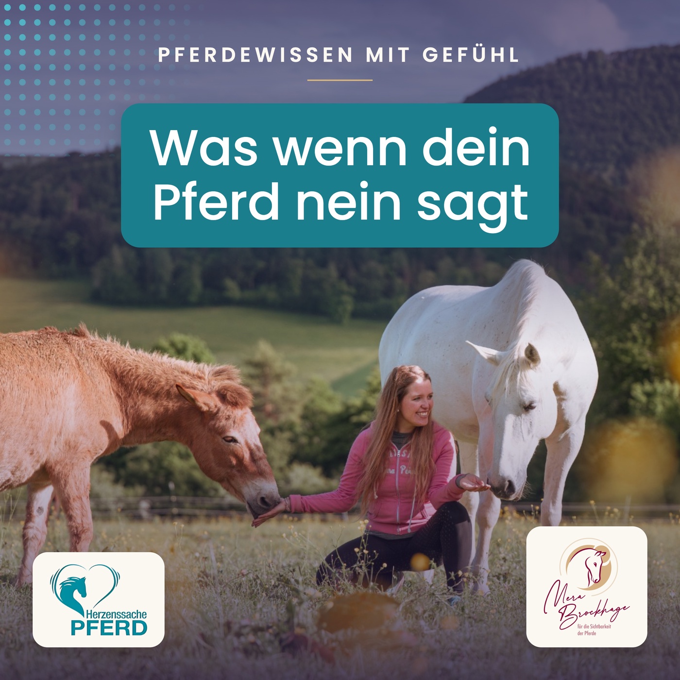 Mini-Podcast: Wenn das Pferd nein sagt – wann akzeptieren, wann dranbleiben?