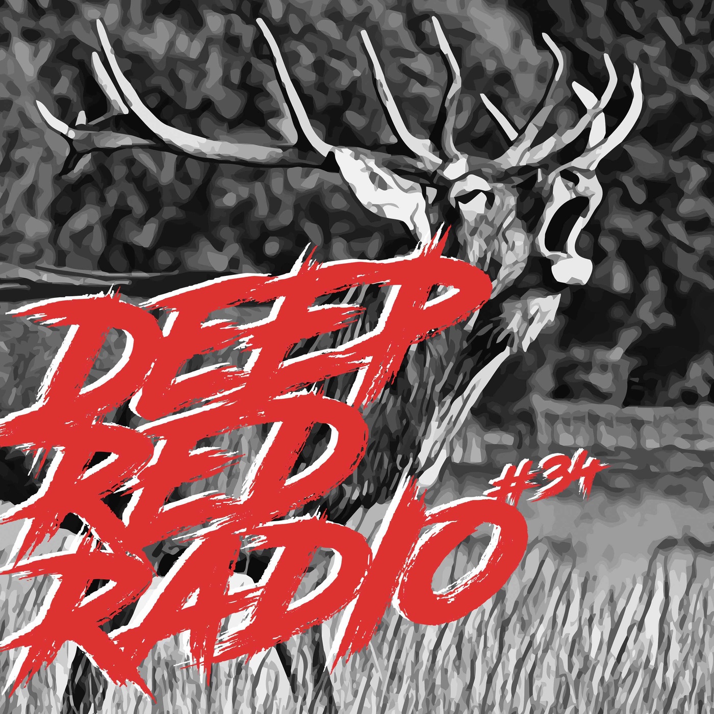 DRR-SHOW 34