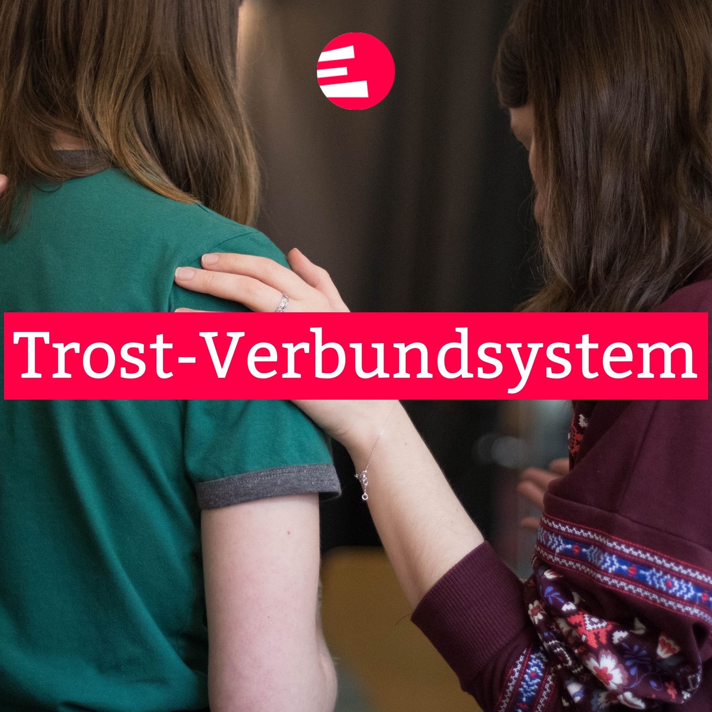 Trost-Verbundsystem