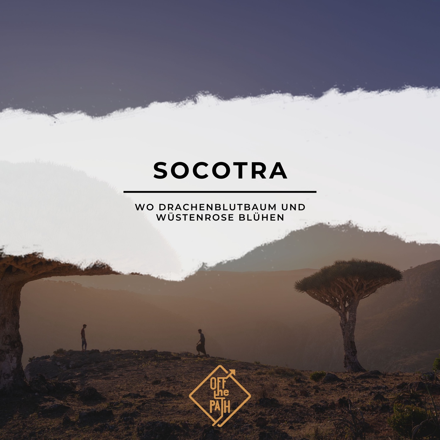 Die verlorene Welt von Socotra