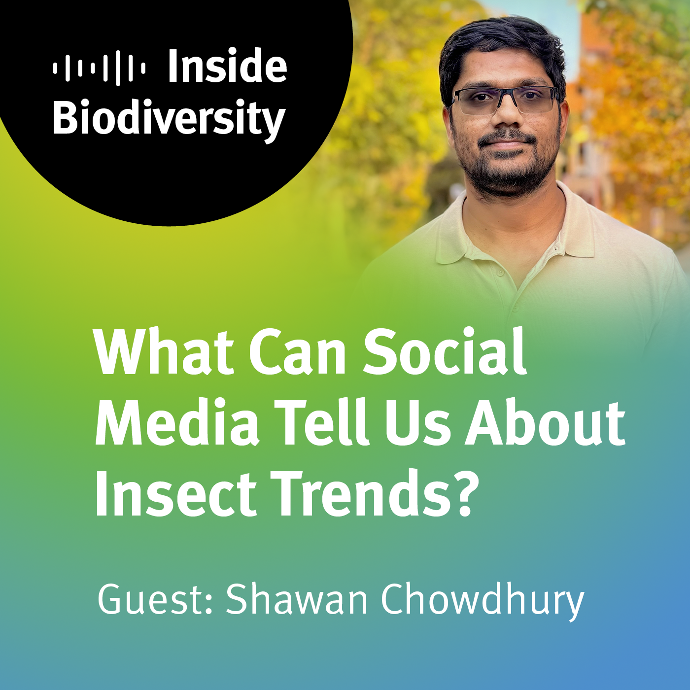 What Can Social Media Tell Us About Insect Trends?