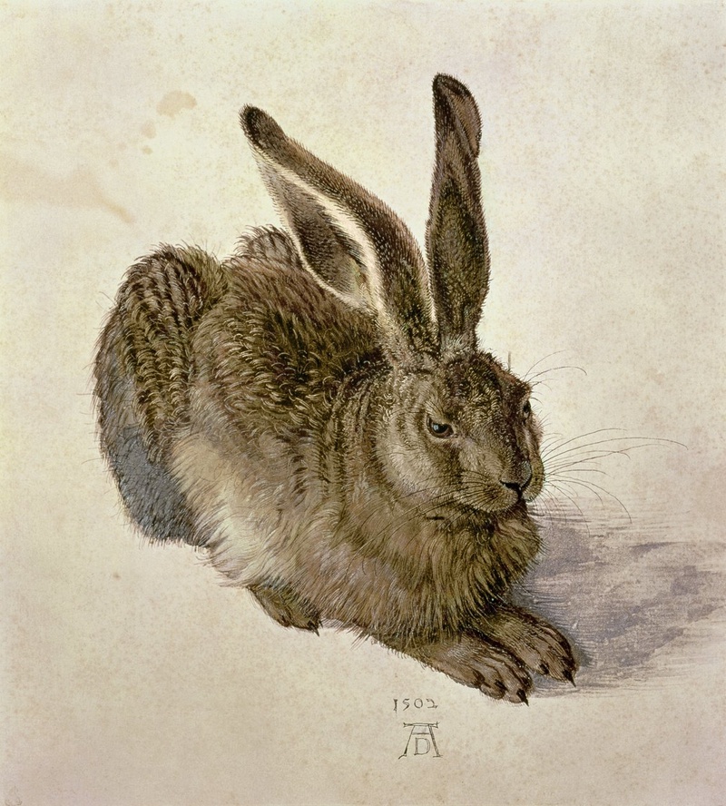 Flea Market to Fortune - Albrecht Dürer