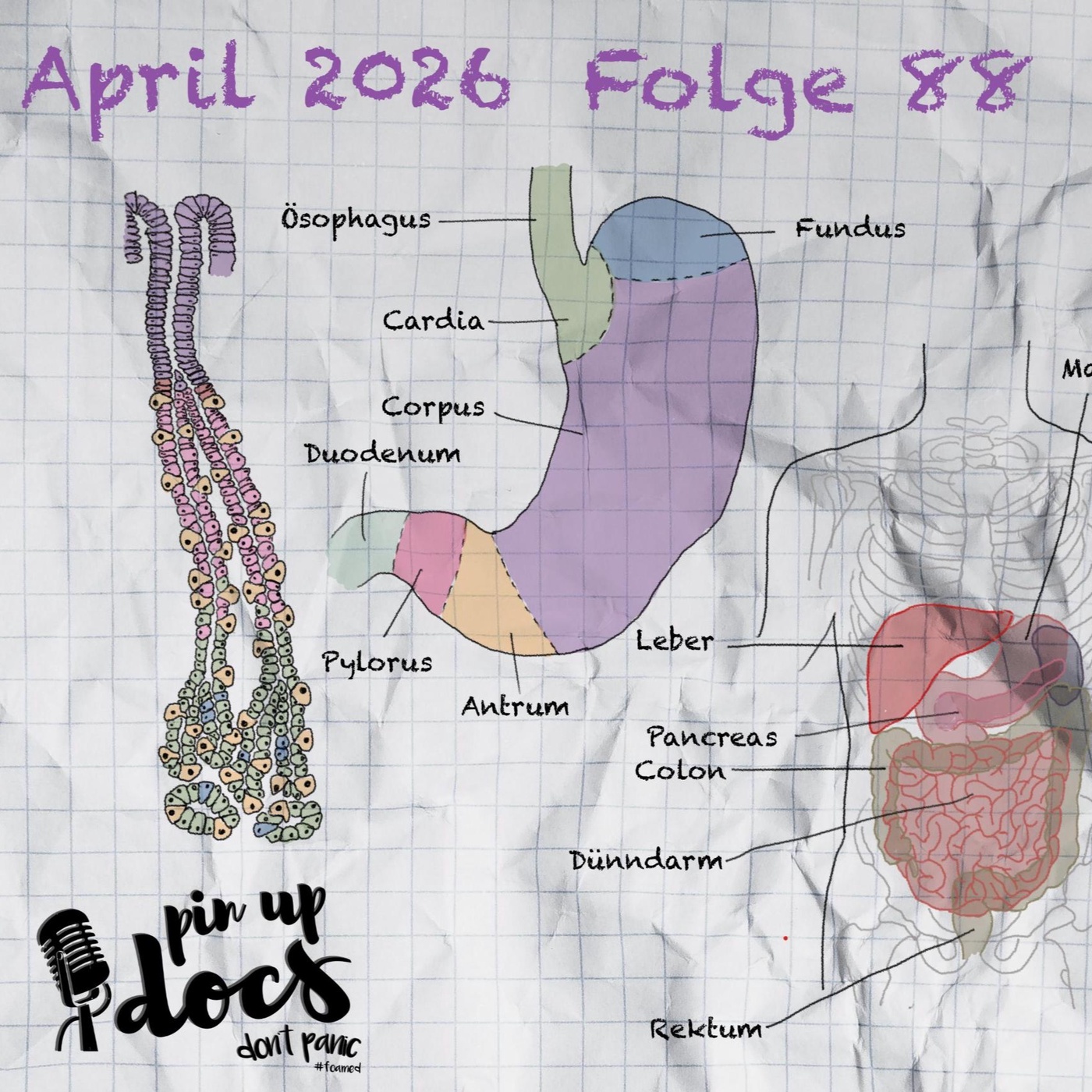 Hauptfolge April 2026 - Folge 88