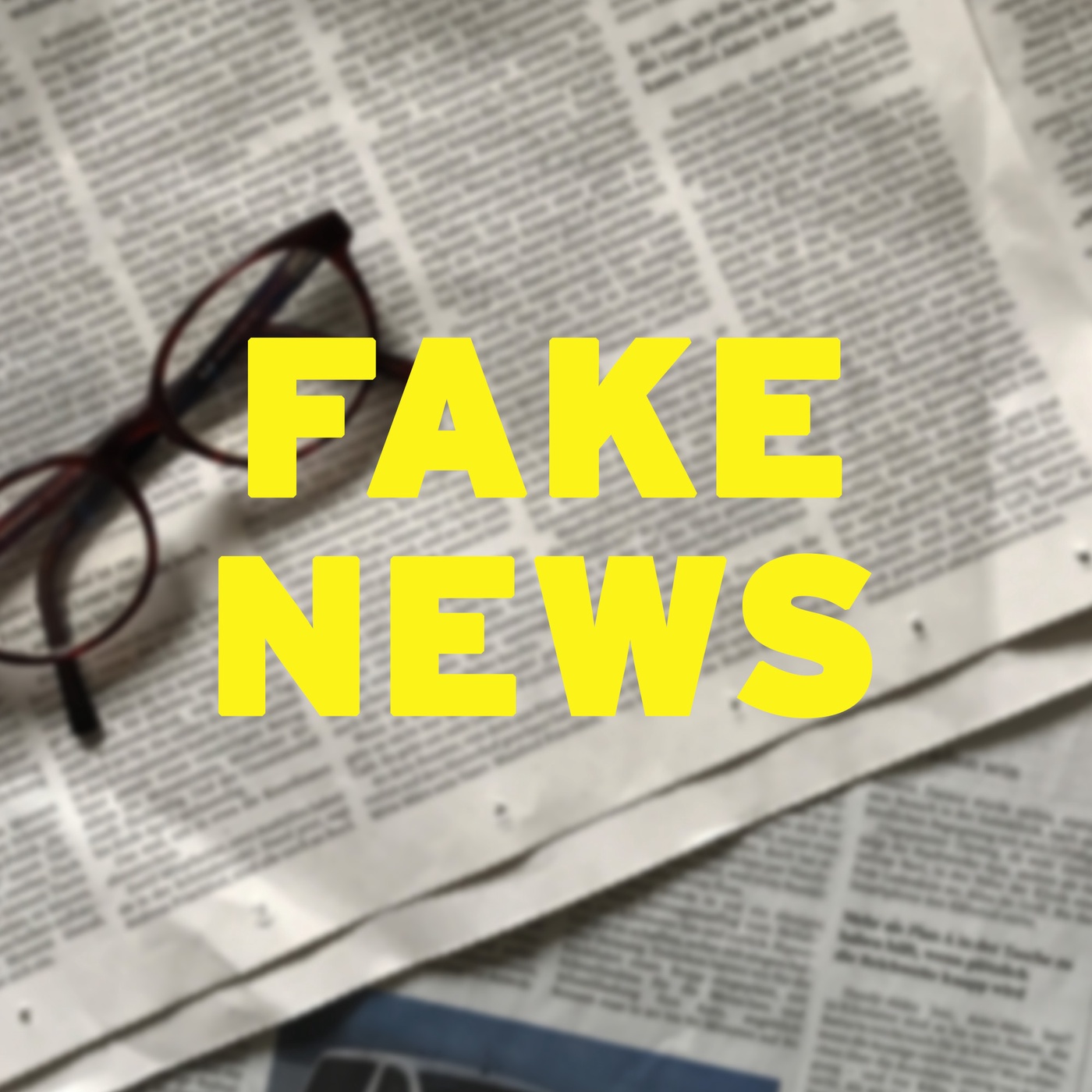 Gespräch mit Claudia Riesmeyer über Fake News