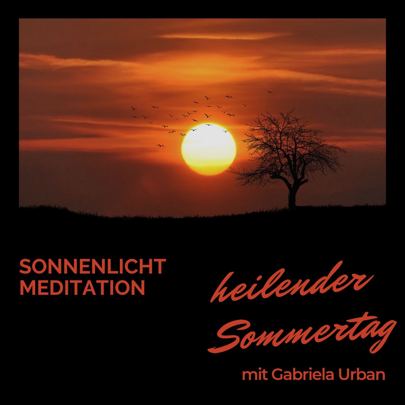 #120: Sonnenlicht Meditation ☀️ – belebt Körper und Geist