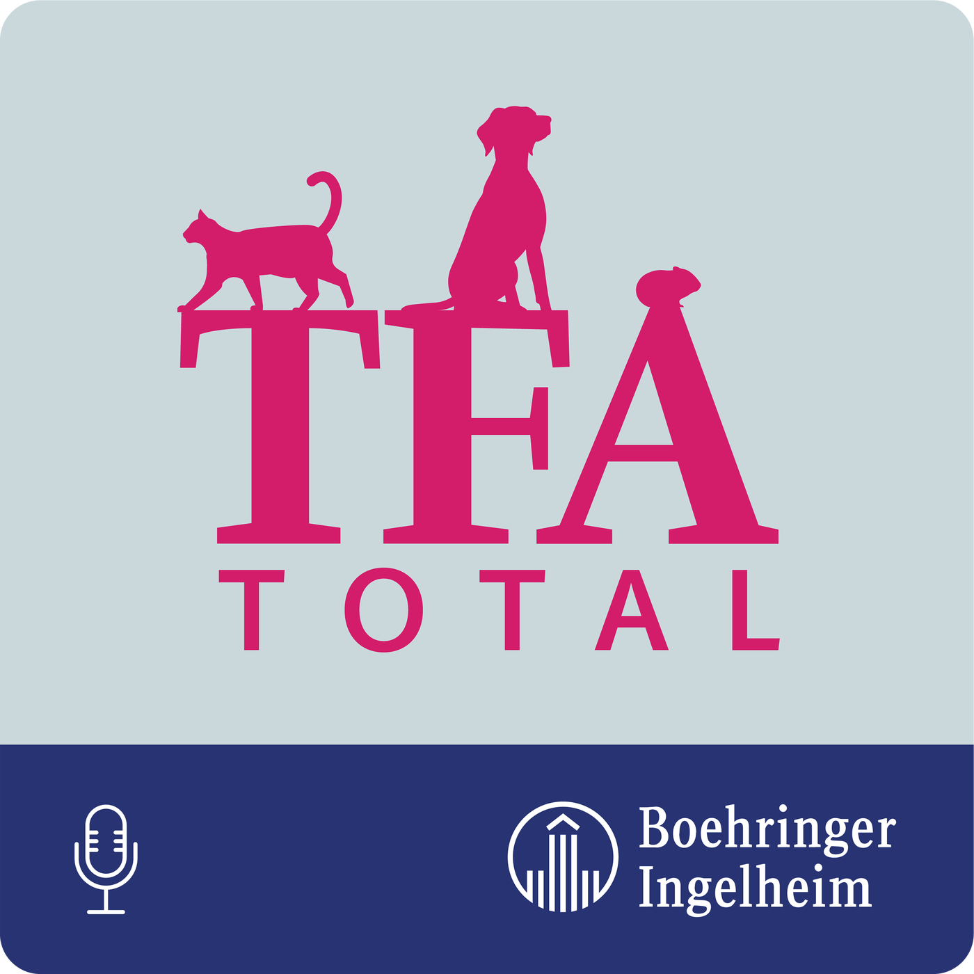 Folge 03 - Bernsteinkette, Möhrenschnipsel & Co. – Teil 2