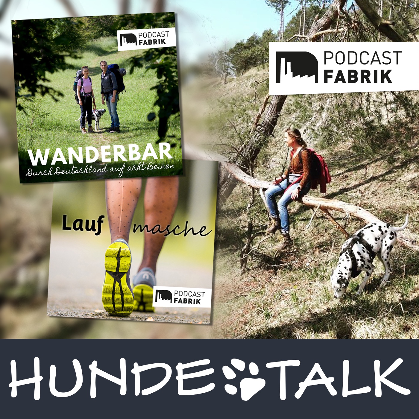 Laufen und Wandern mit Hund - 3 Podcasts in einem