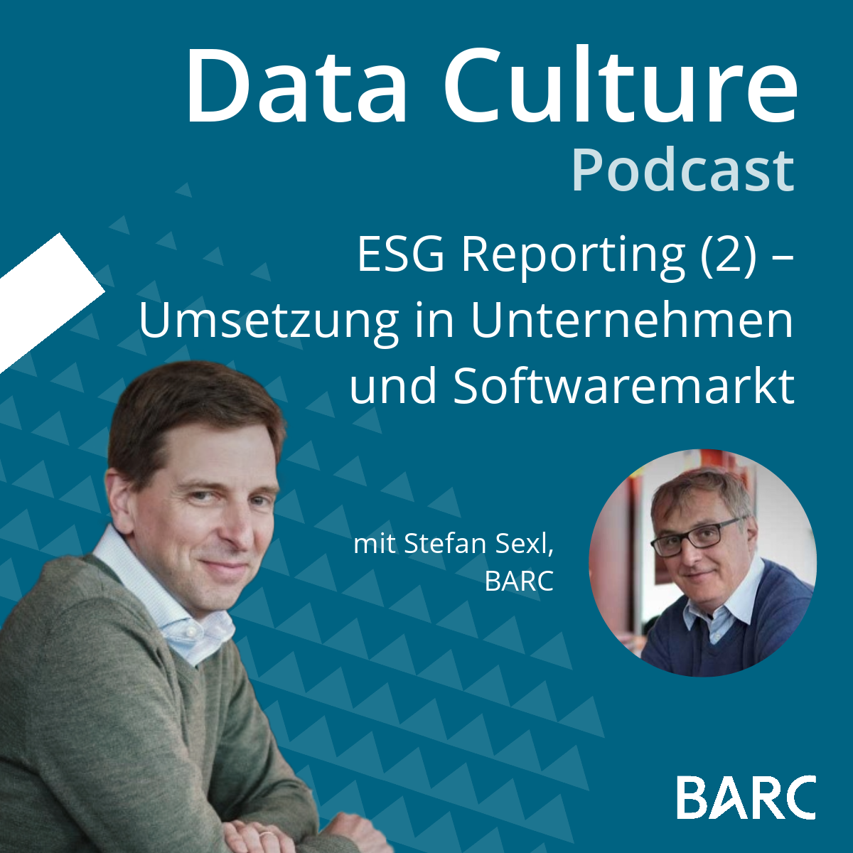 ESG Reporting (2) – Umsetzung in Unternehmen und Softwaremarkt – mit Stefan Sexl, BARC