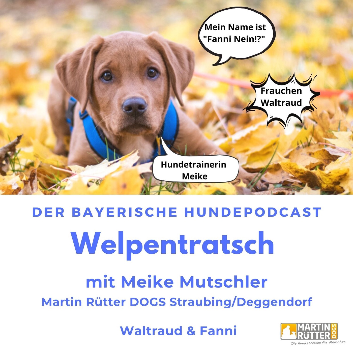 Welpentratsch - Der bayerische Hundepodcast