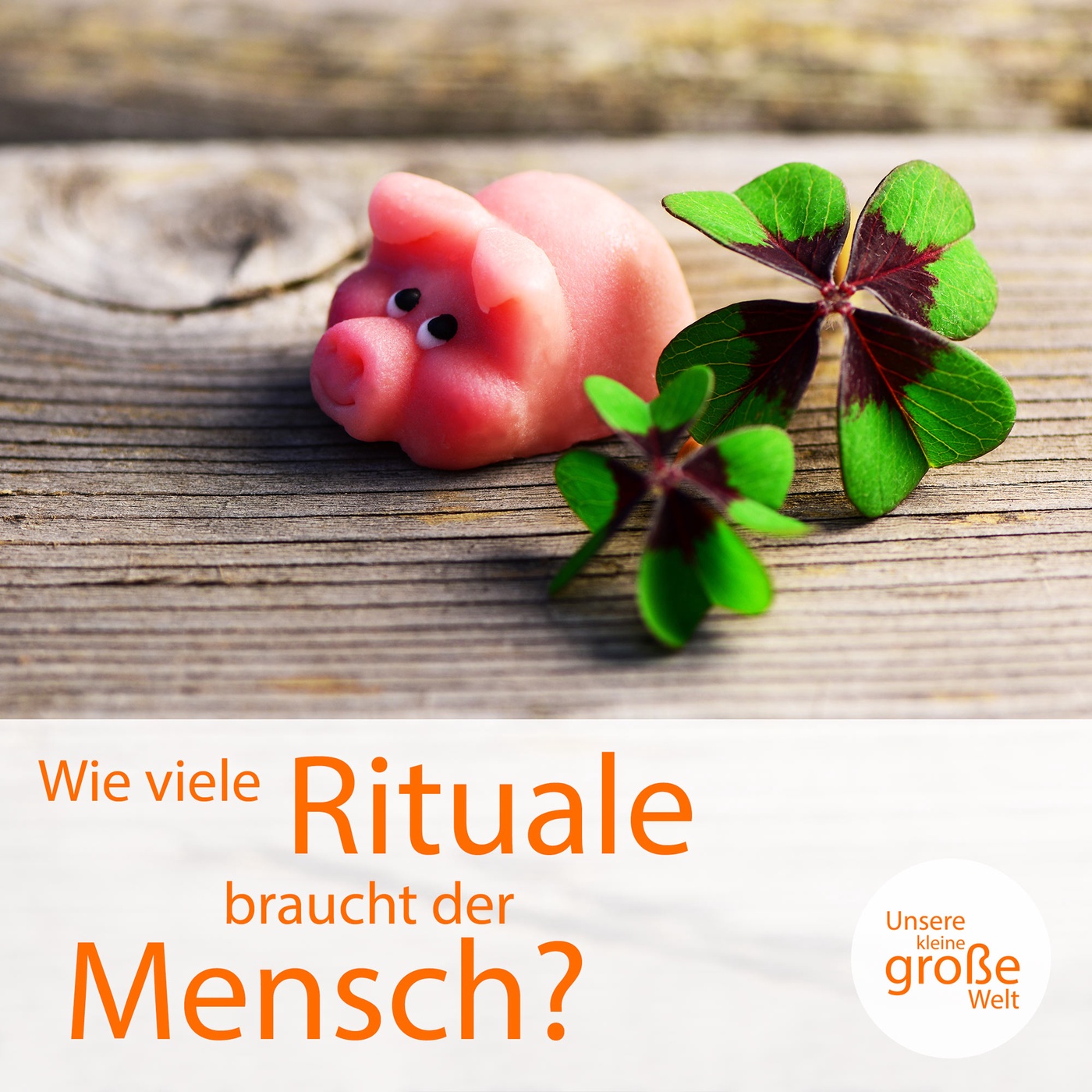 Wie viele Rituale braucht der Mensch?