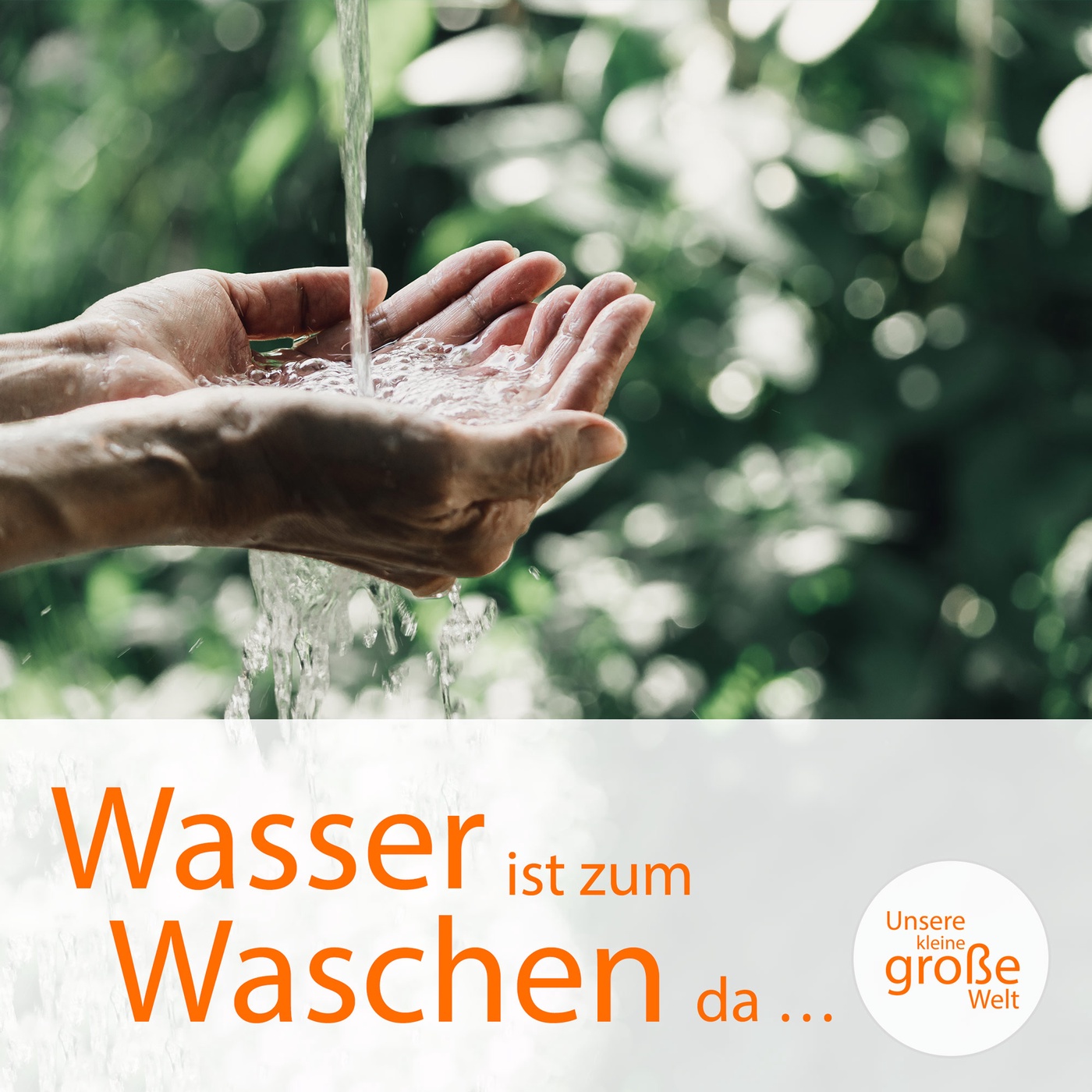 Wasser ist zum Waschen da …