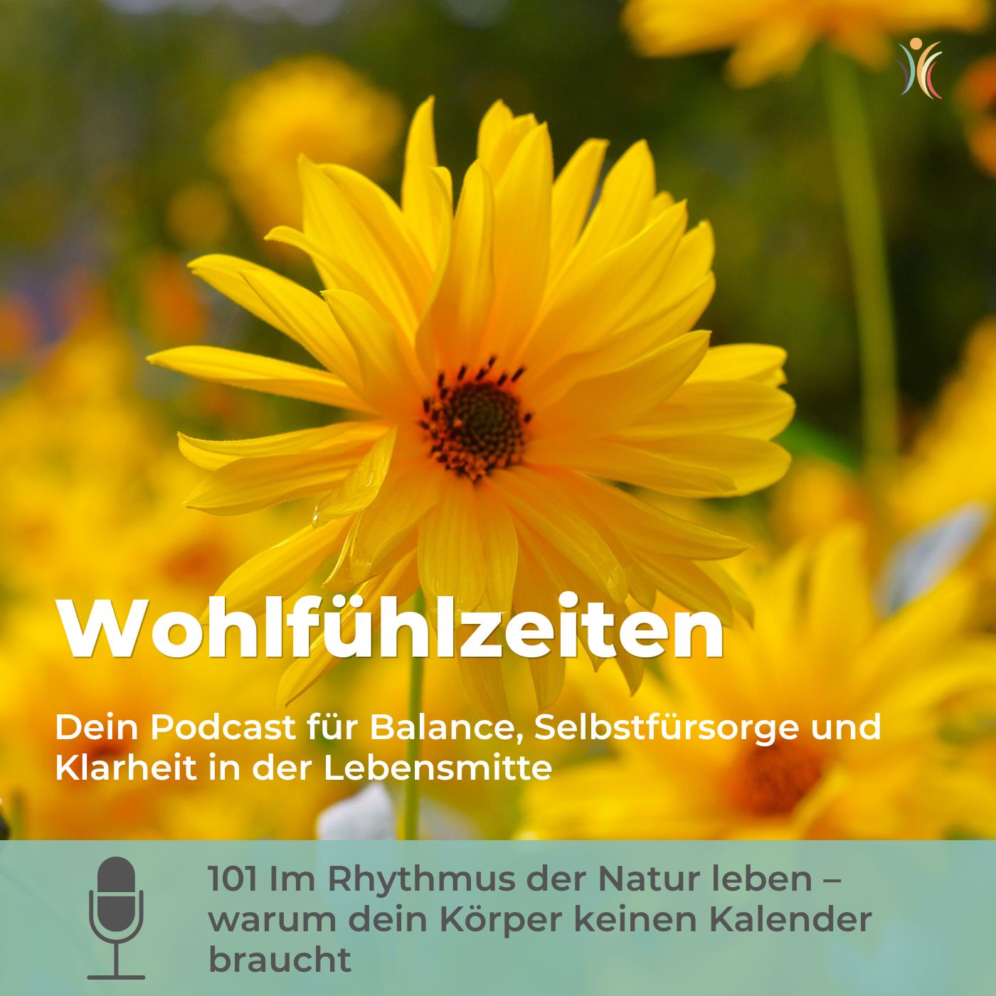 101 Im Rhythmus der Natur leben – warum dein Körper keinen Kalender braucht