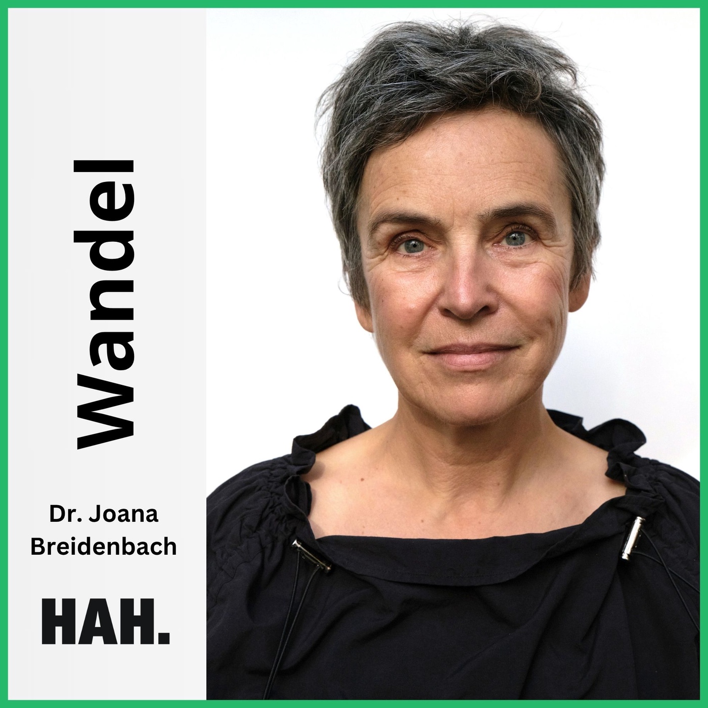 Wie bleibe ich im Wandel verbunden? – mit Dr. Joana Breidenbach | HAH #166