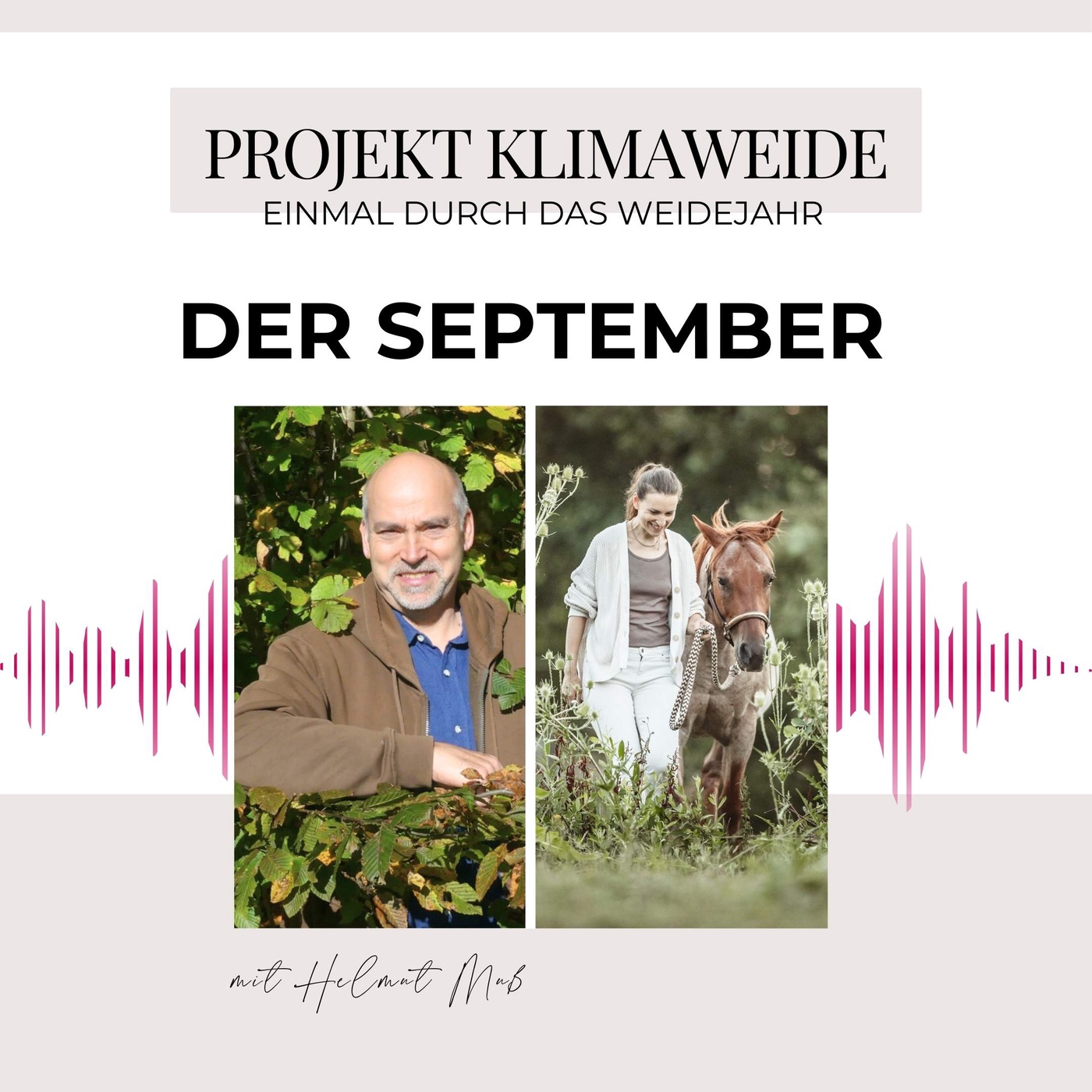 Die perfekte Klimaweide: Deine To DOs für den September